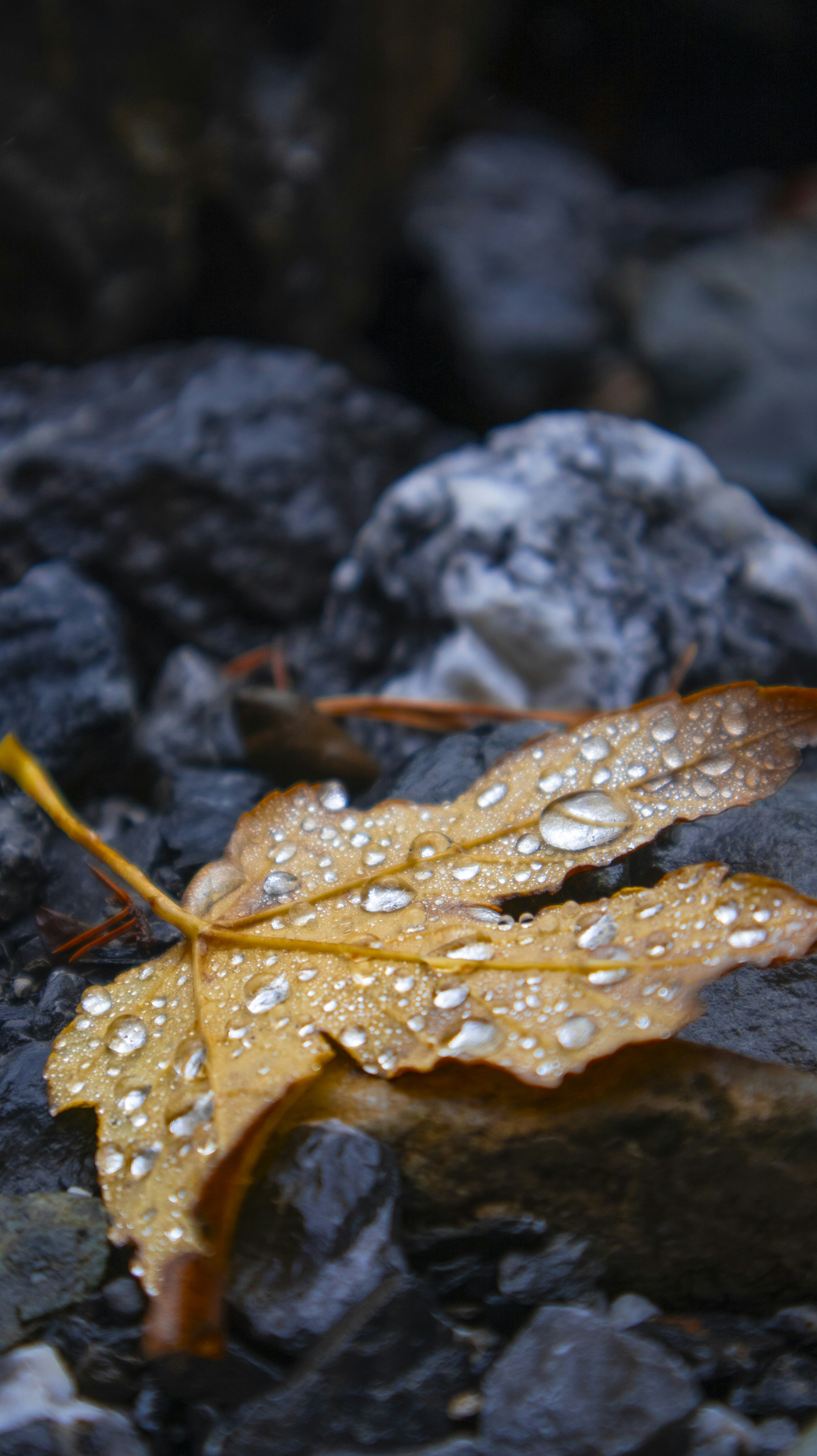 Photo by michaelvg94