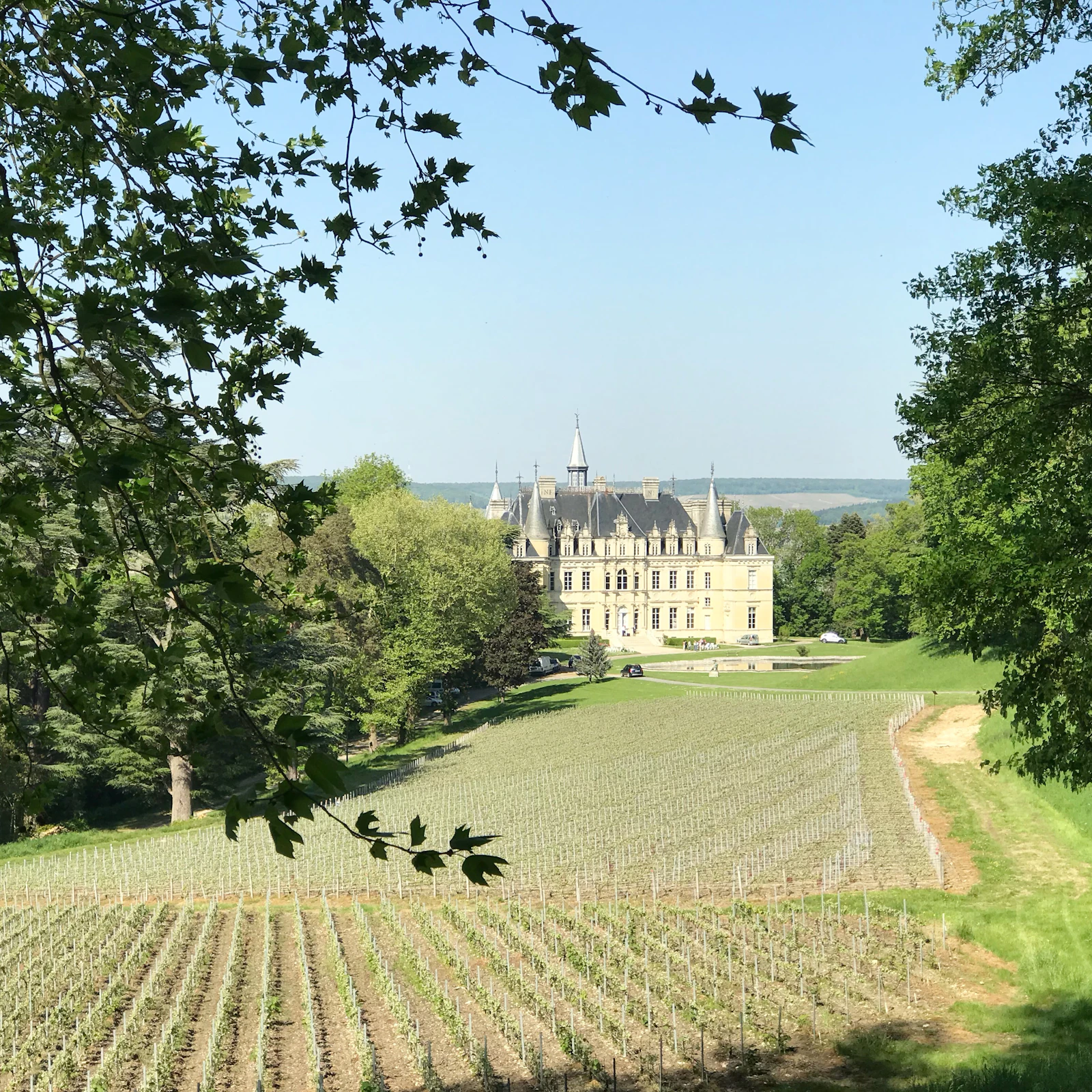 Vignoble — Val de Loire