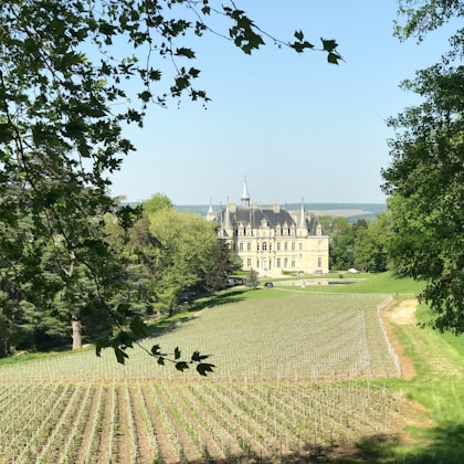 Château dans la vallée de la Loire