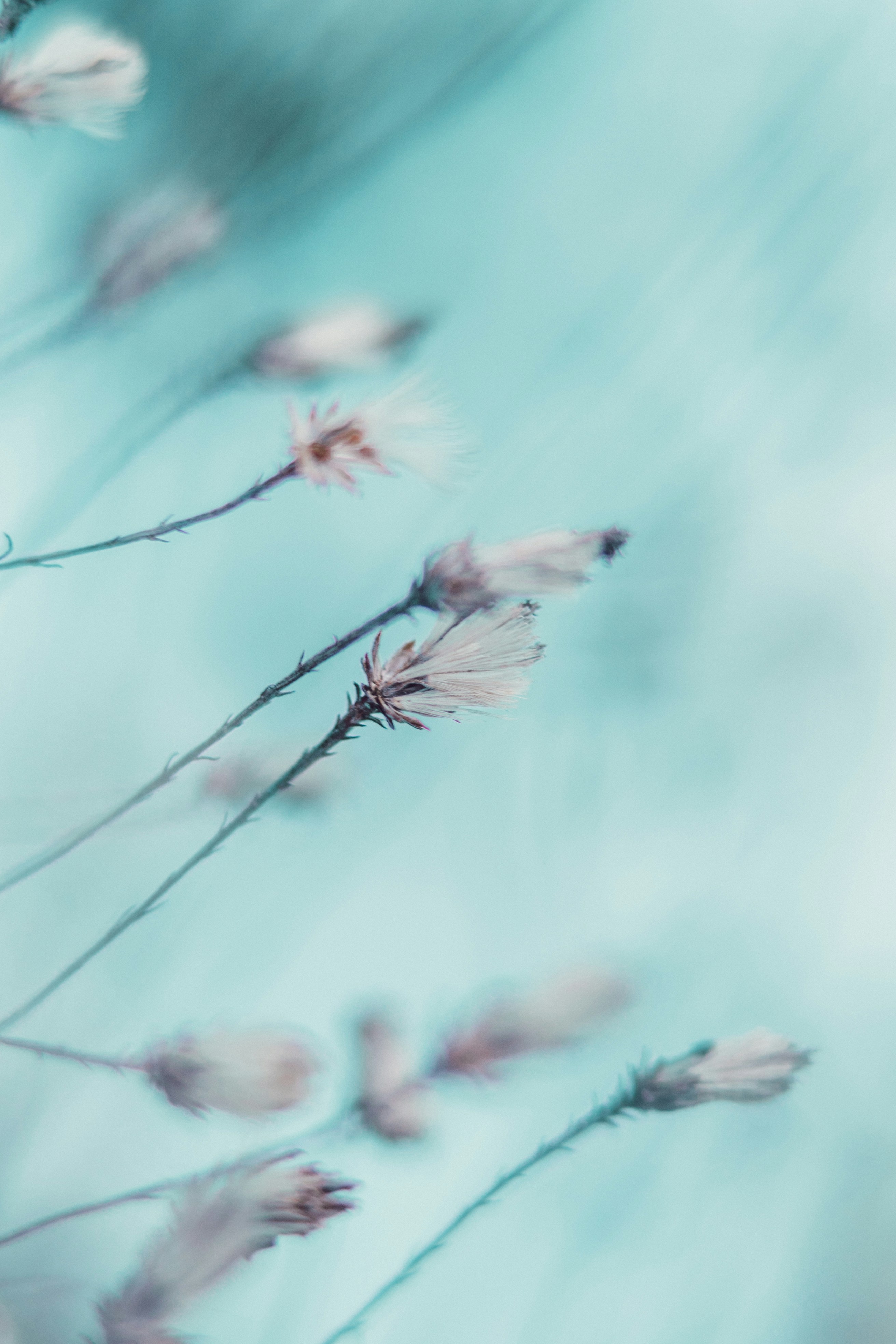 Photo by anamnesis33