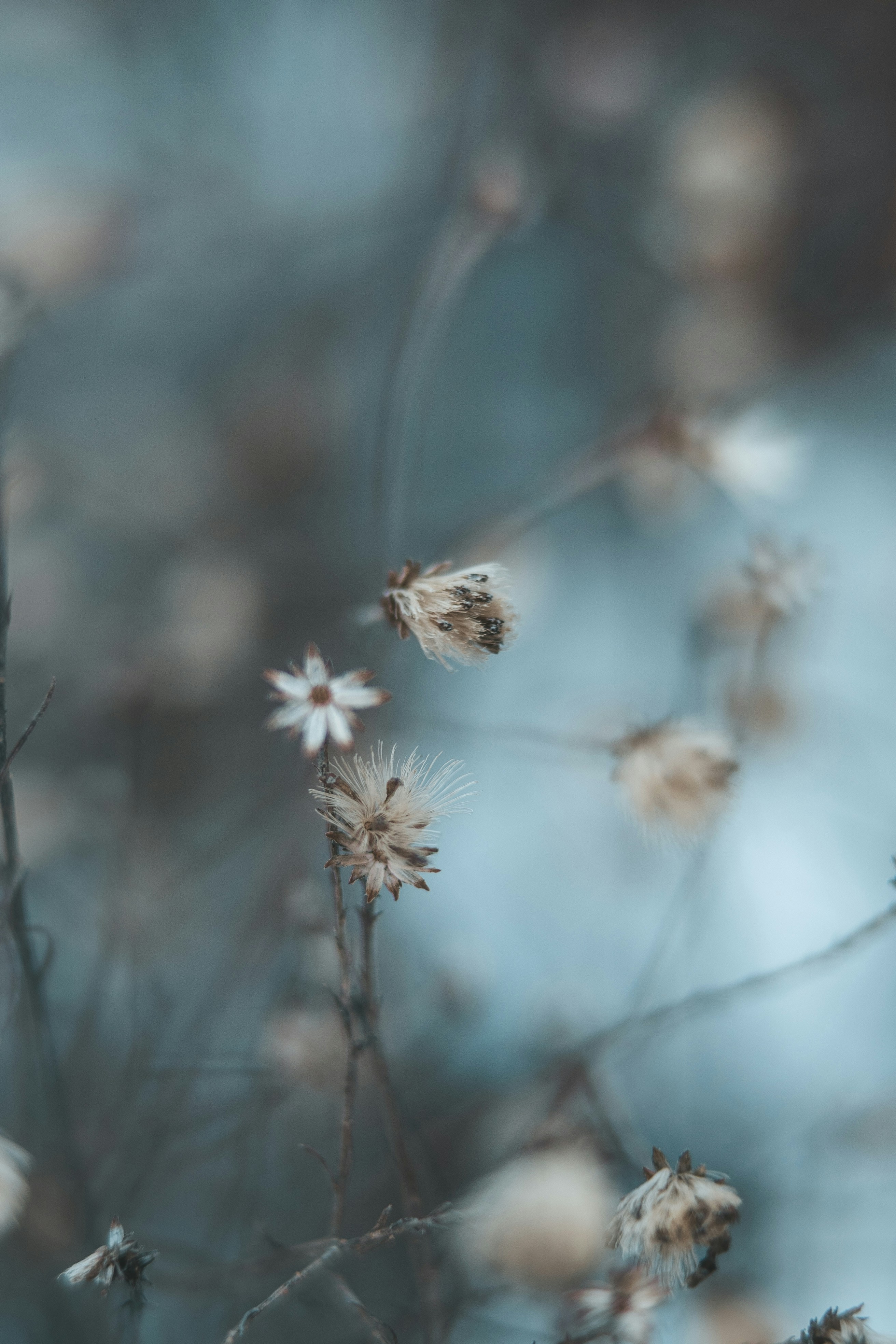 Photo by anamnesis33