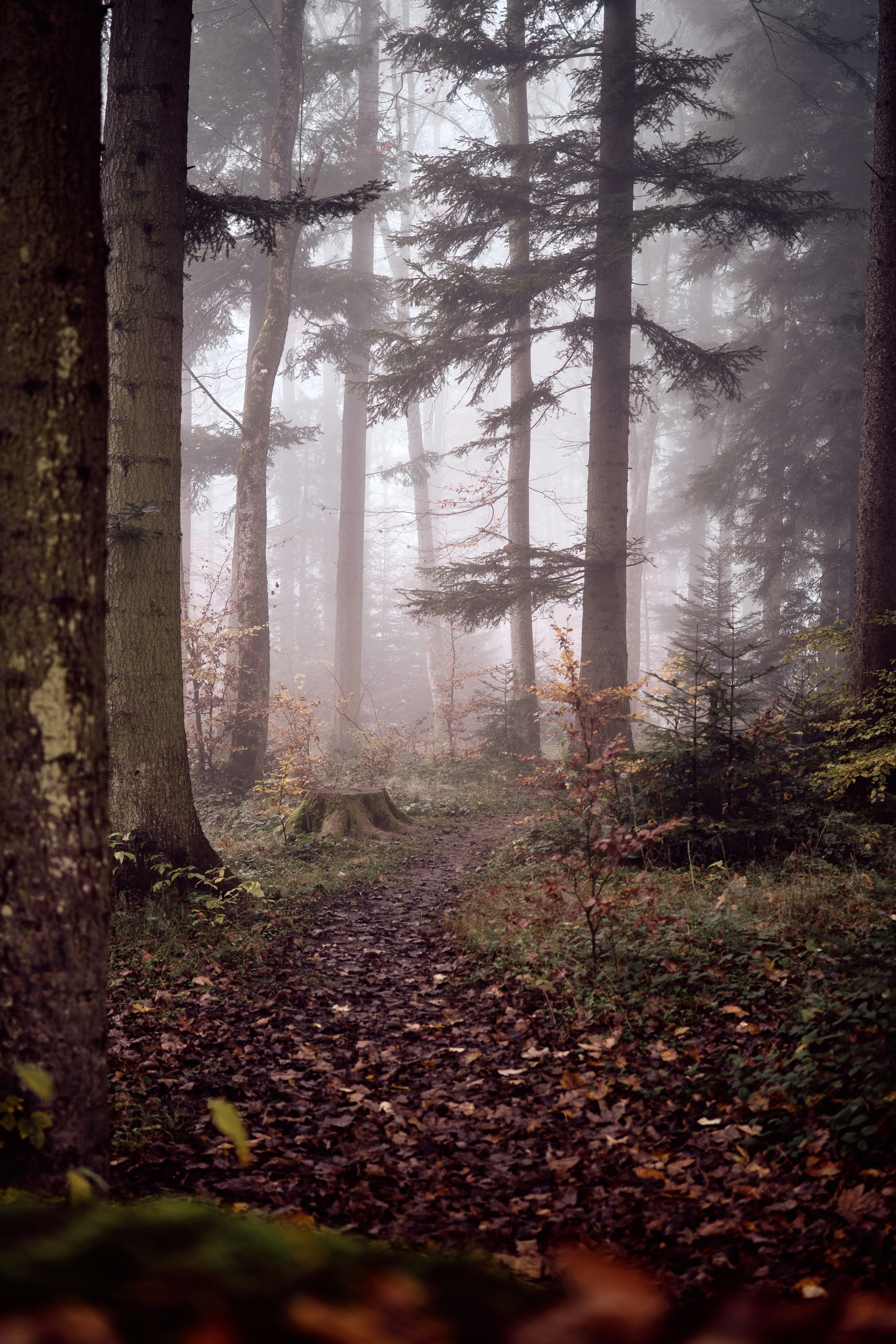 Photo by marcus_ganahl