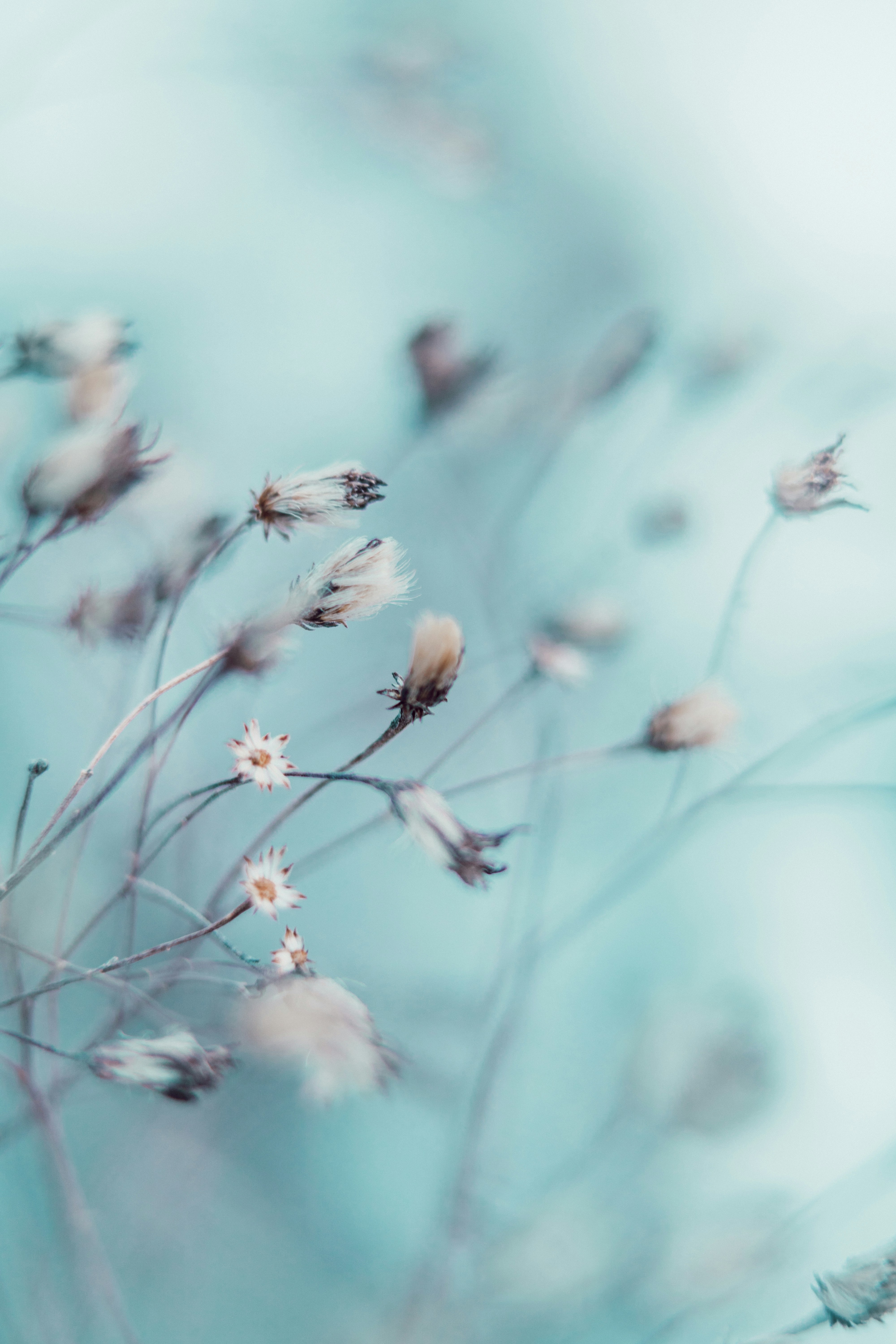 Photo by anamnesis33