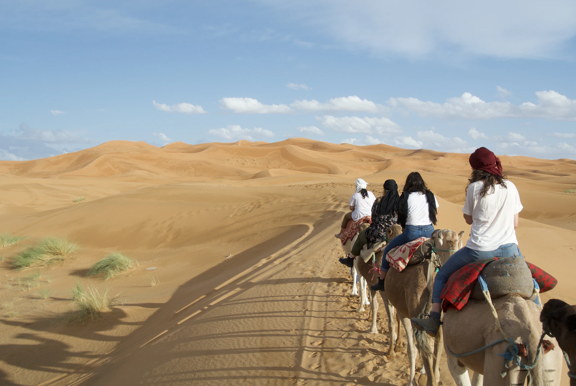 A group of people riding on the backs of camels
