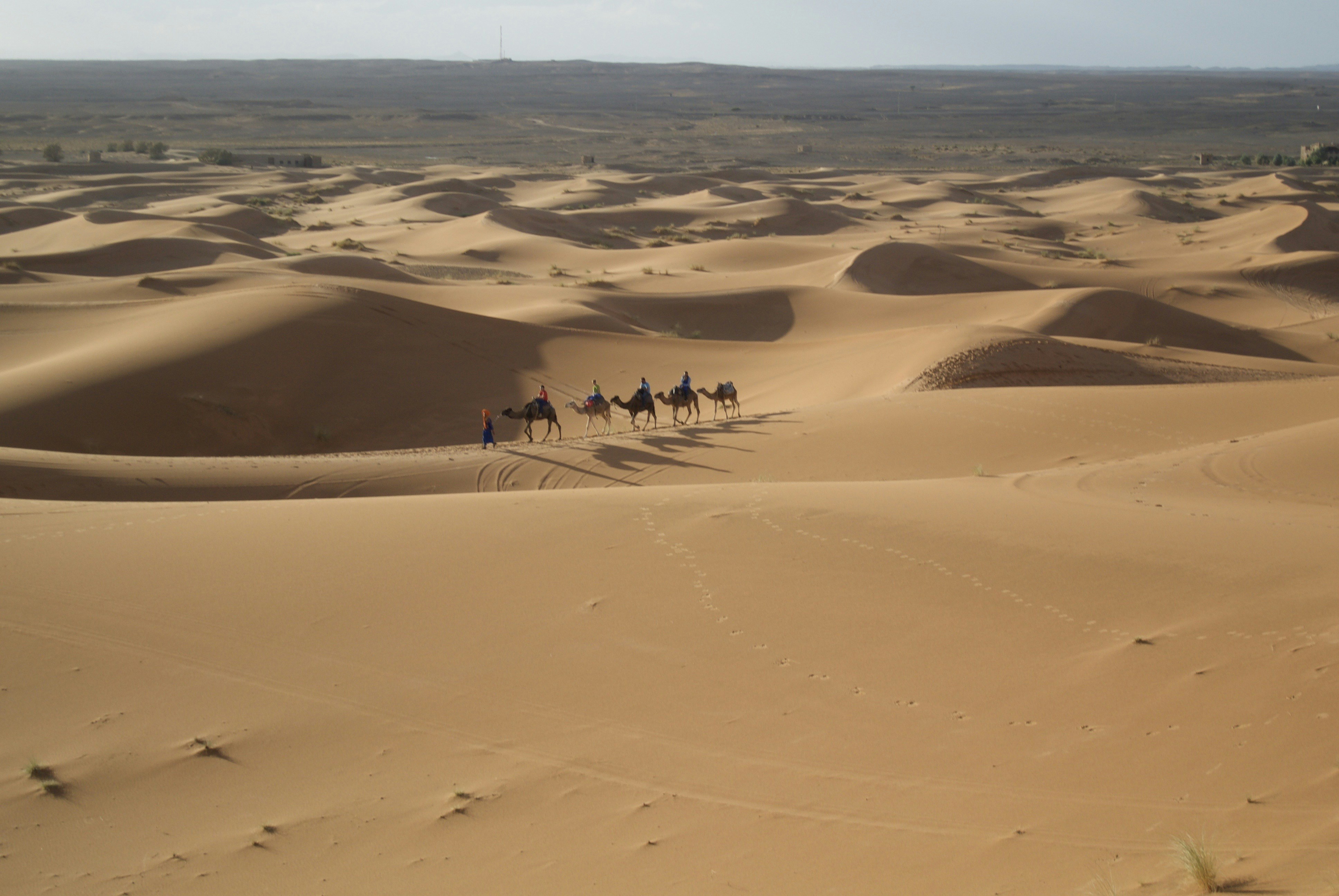 A group of people riding camels across a desert