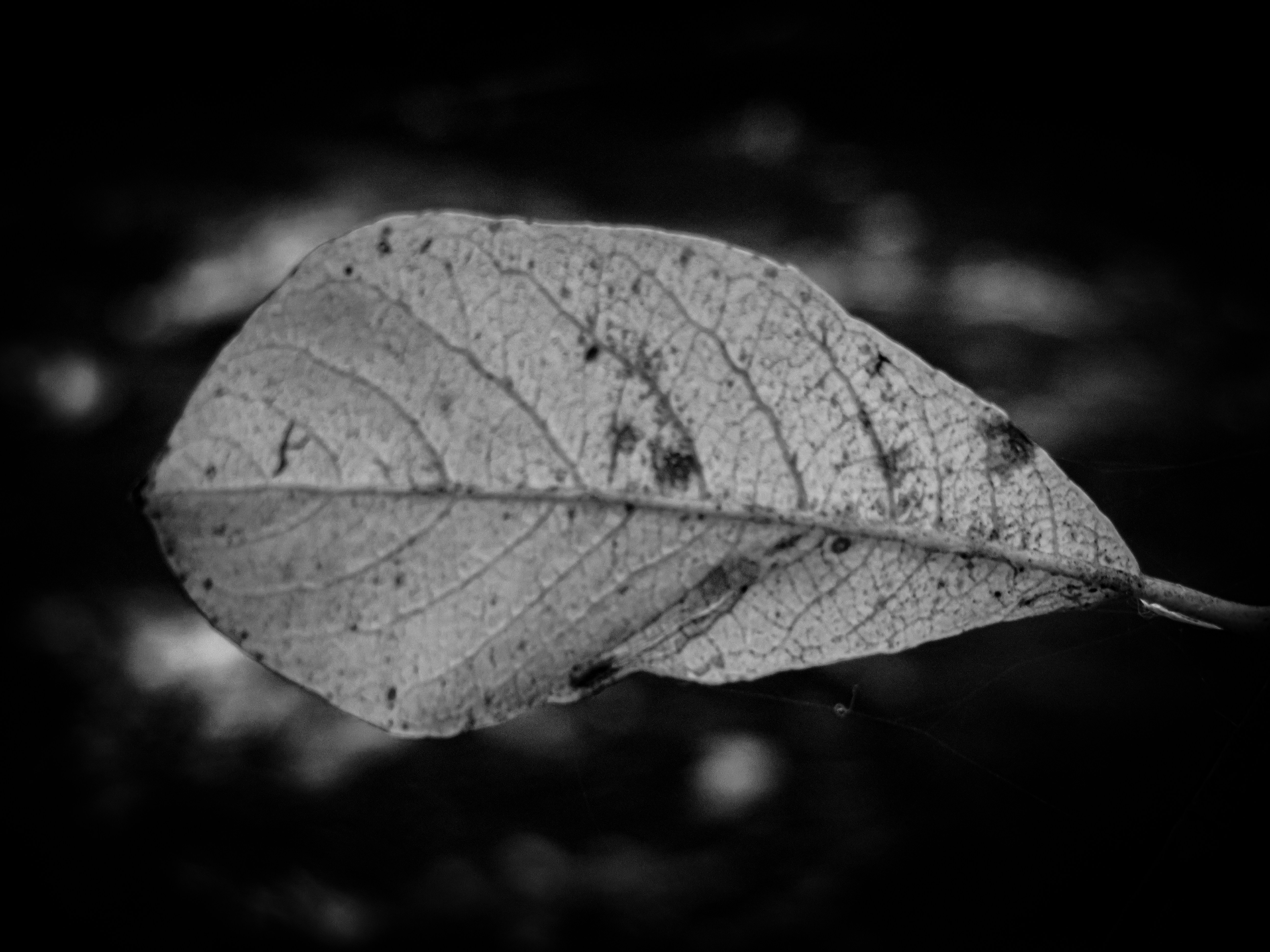 Photo by jgcachafeiro