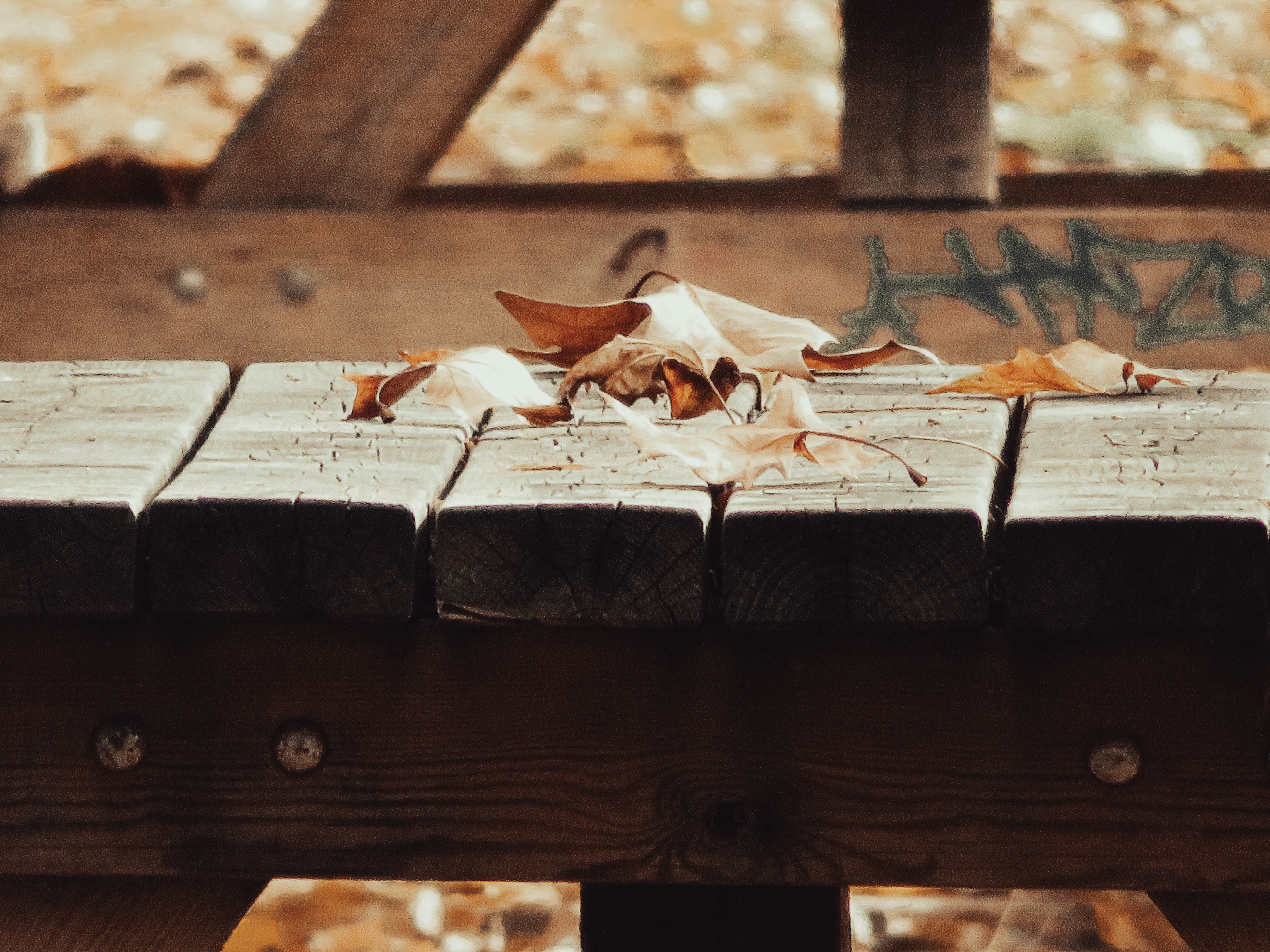 Photo by jgcachafeiro