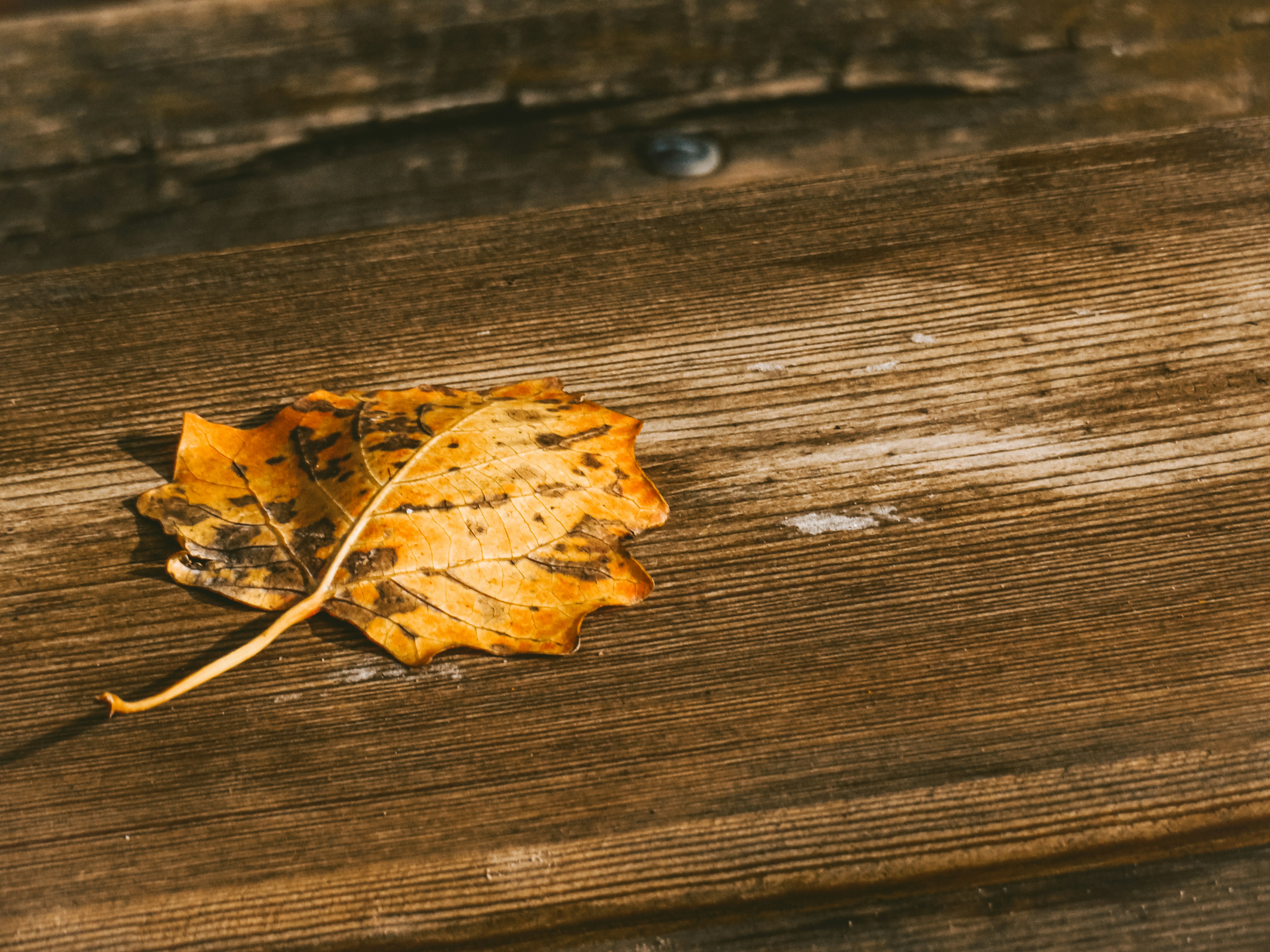 Photo by jgcachafeiro