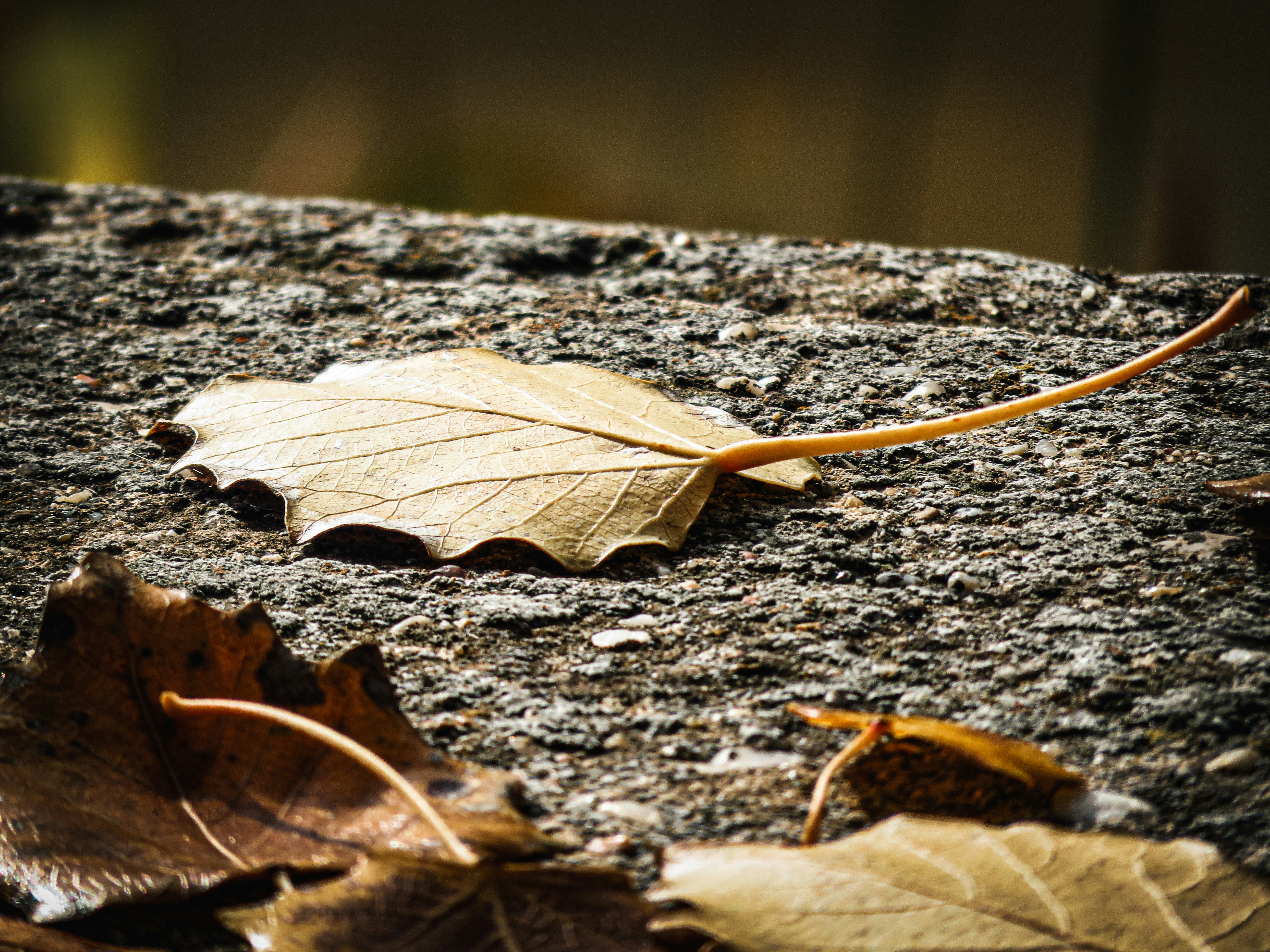 Photo by jgcachafeiro