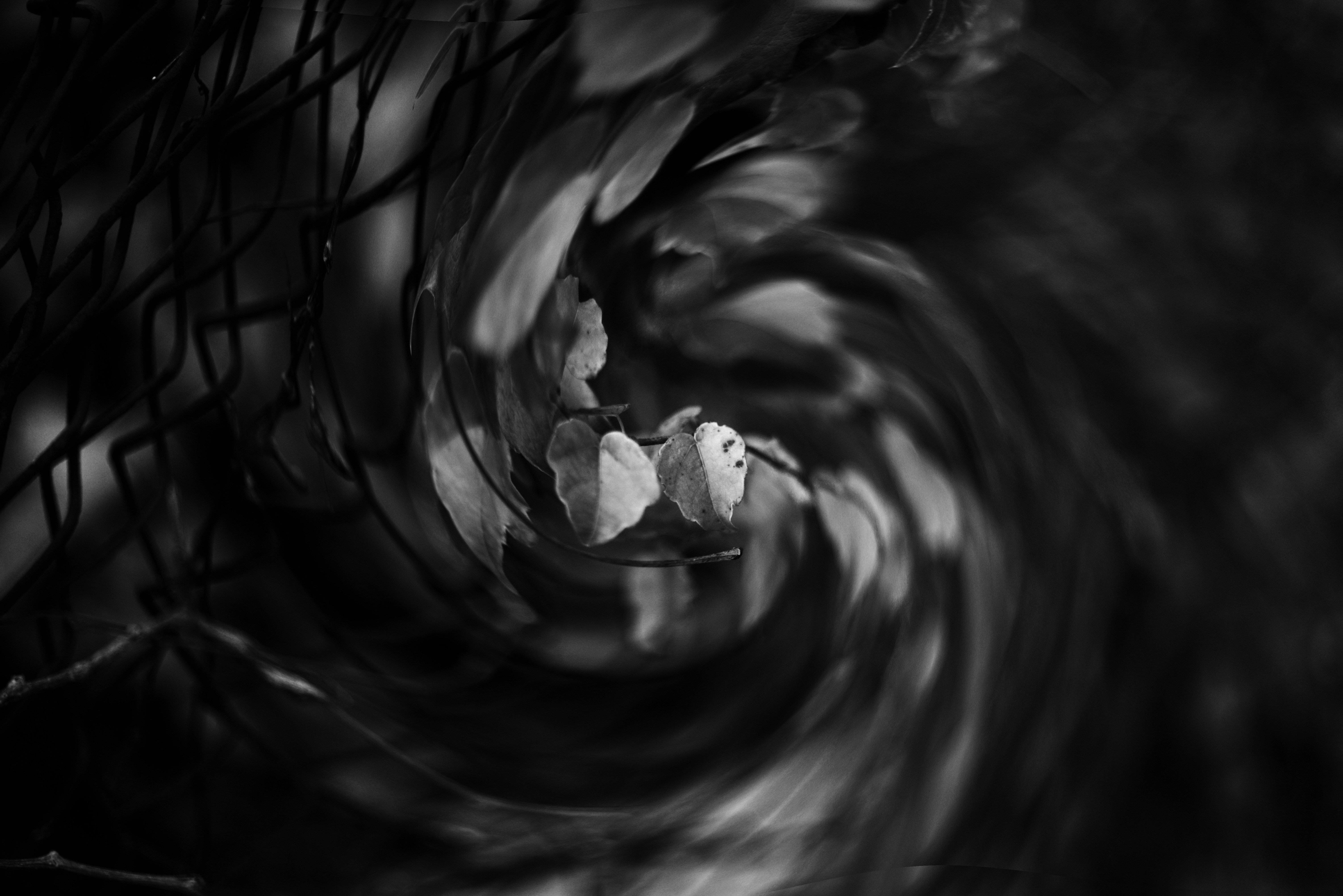 Photo by cherstve_pechivo