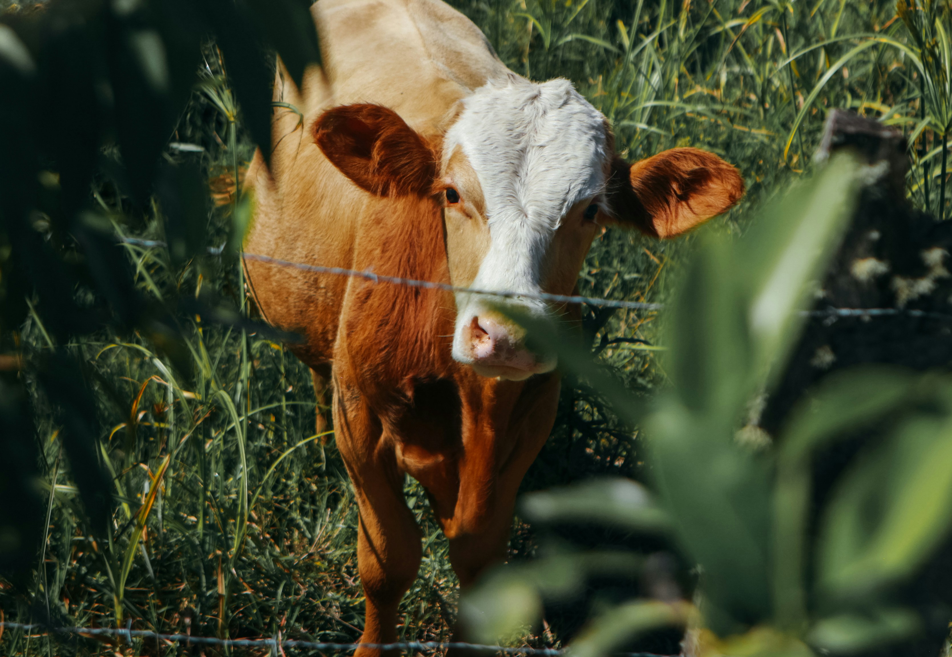 Photo by annavanderk