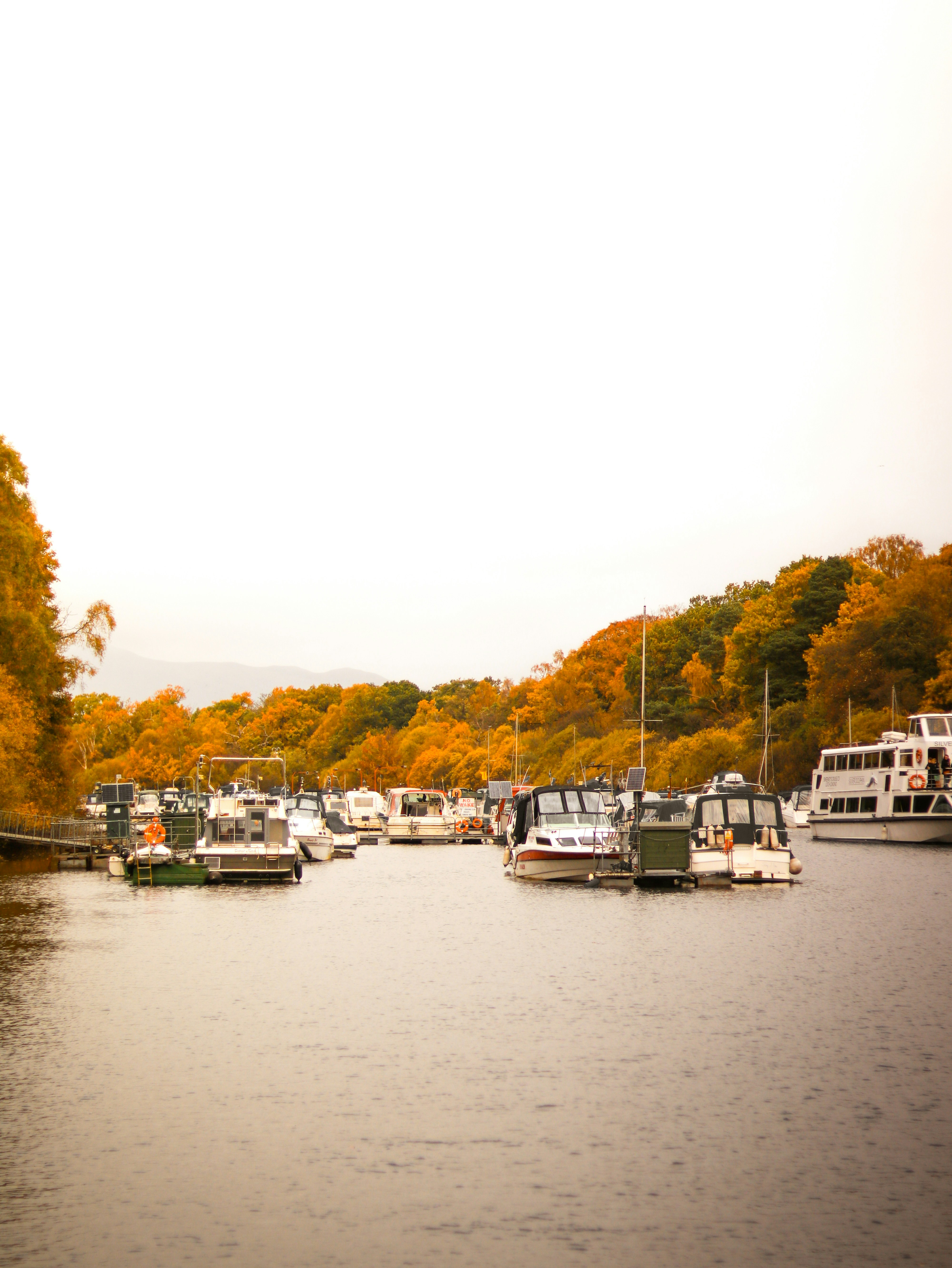 Photo by sanjog3jpeg