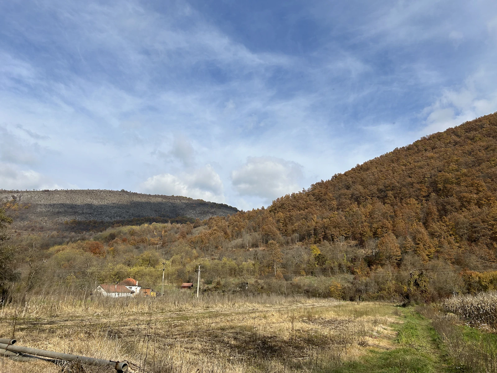Cazare în Hunedoara: dealuri cu păduri de toamnă în județul Hunedoara