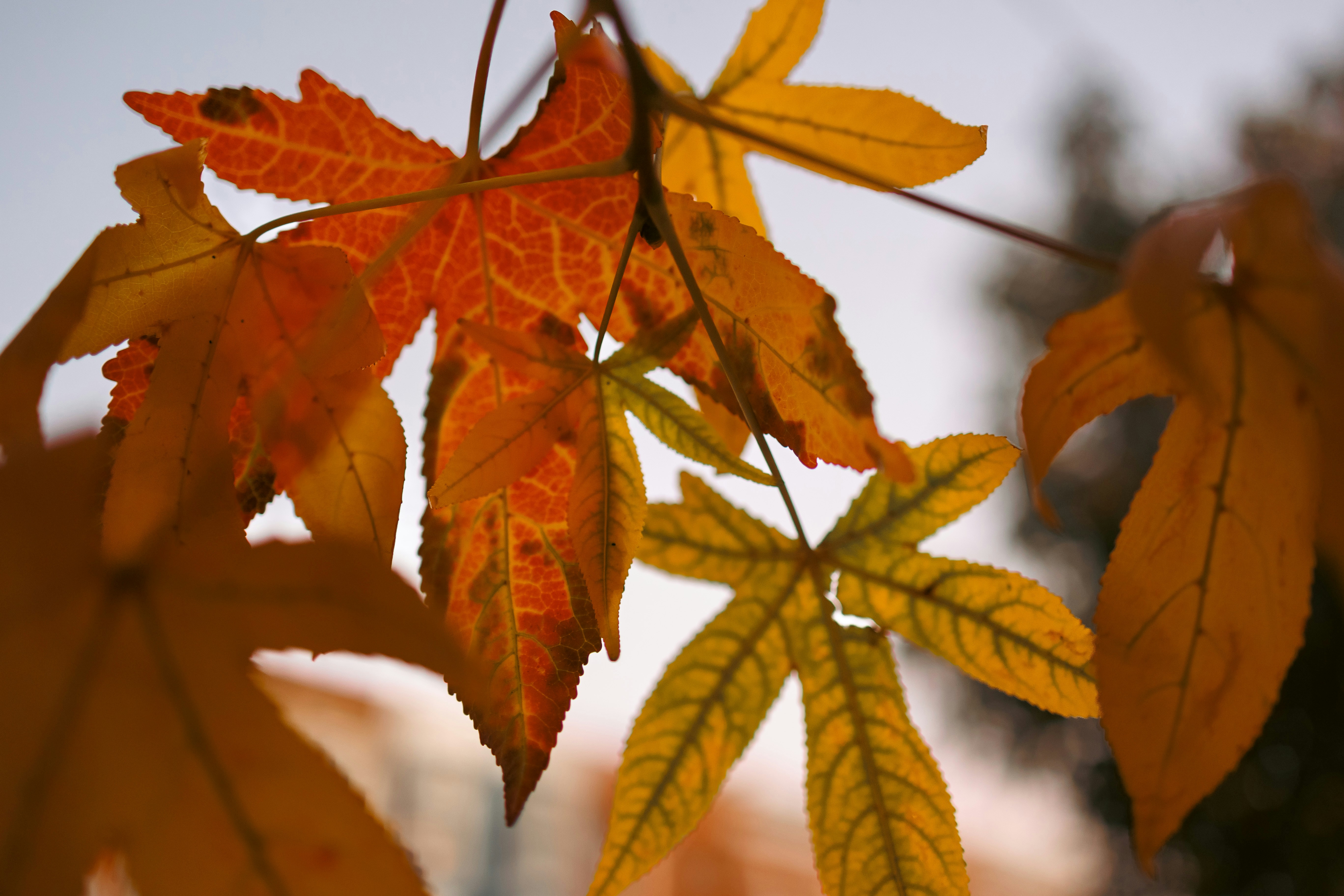 Photo by stills_byliz