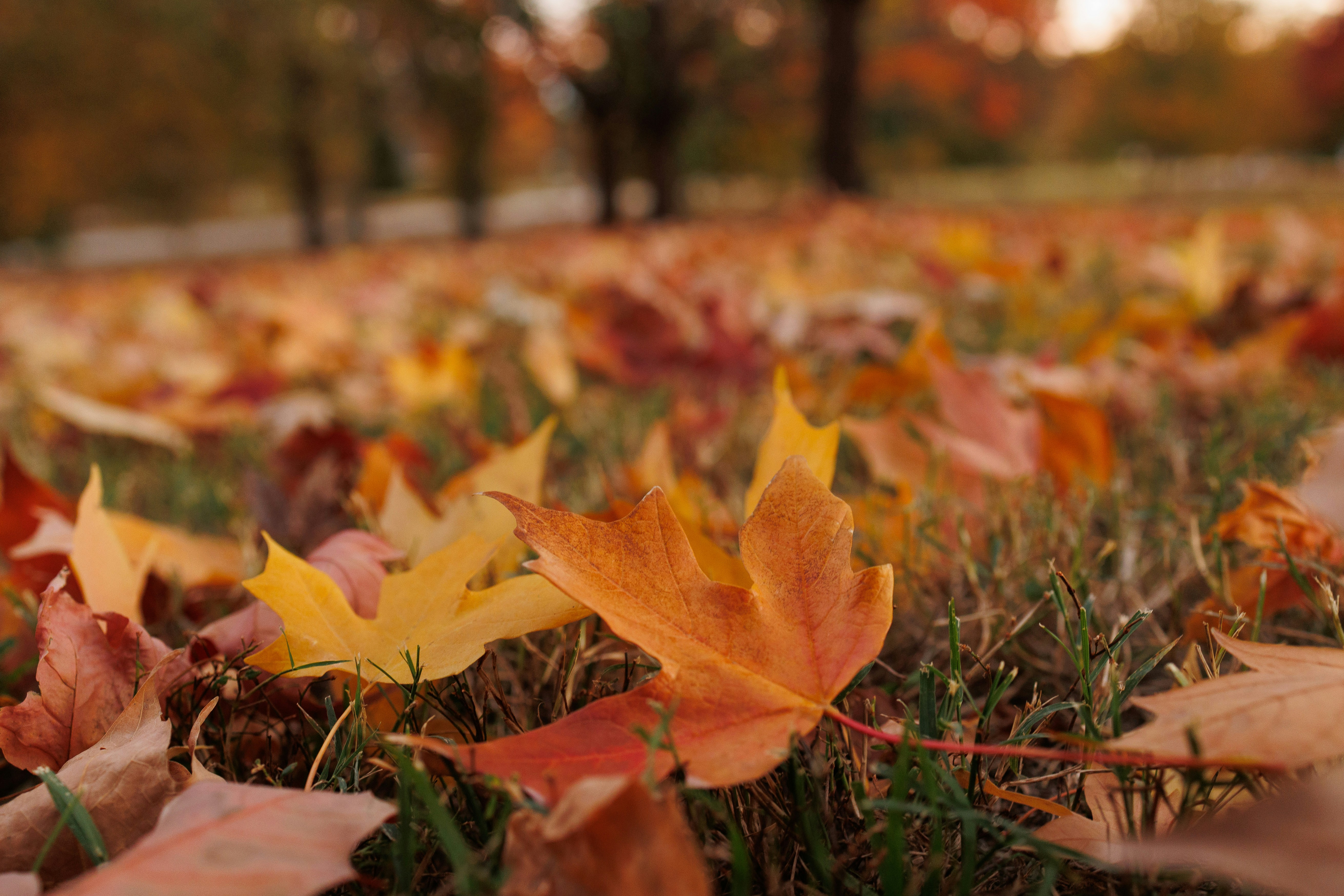 Photo by stills_byliz