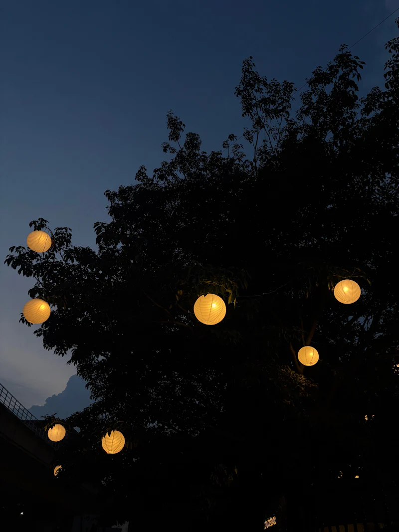 glowing paper lanterns illuminate a tranquil evening garden, creating a magical atmosphere as they float among dark tree branches against the twilight sky