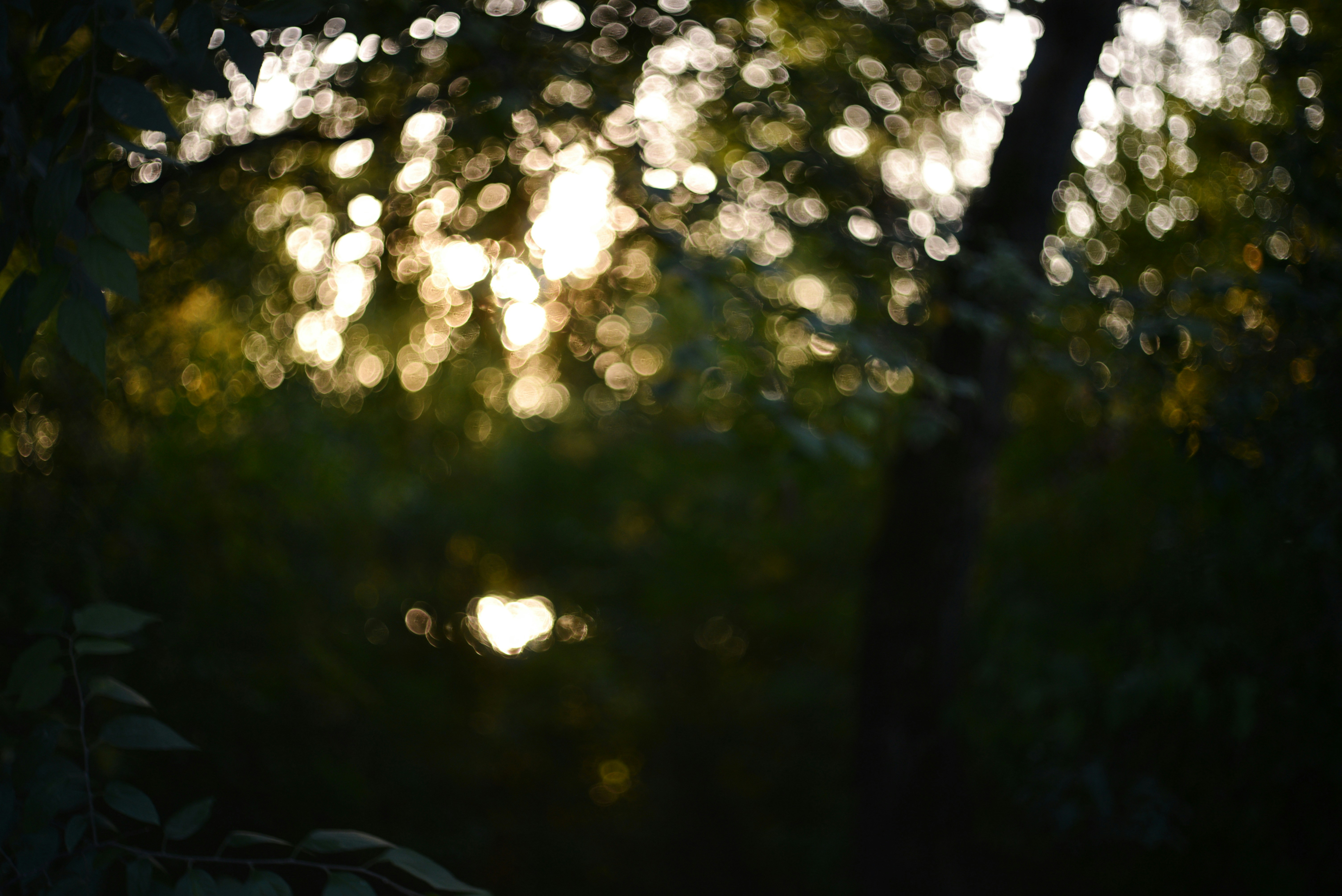 Photo by cherstve_pechivo