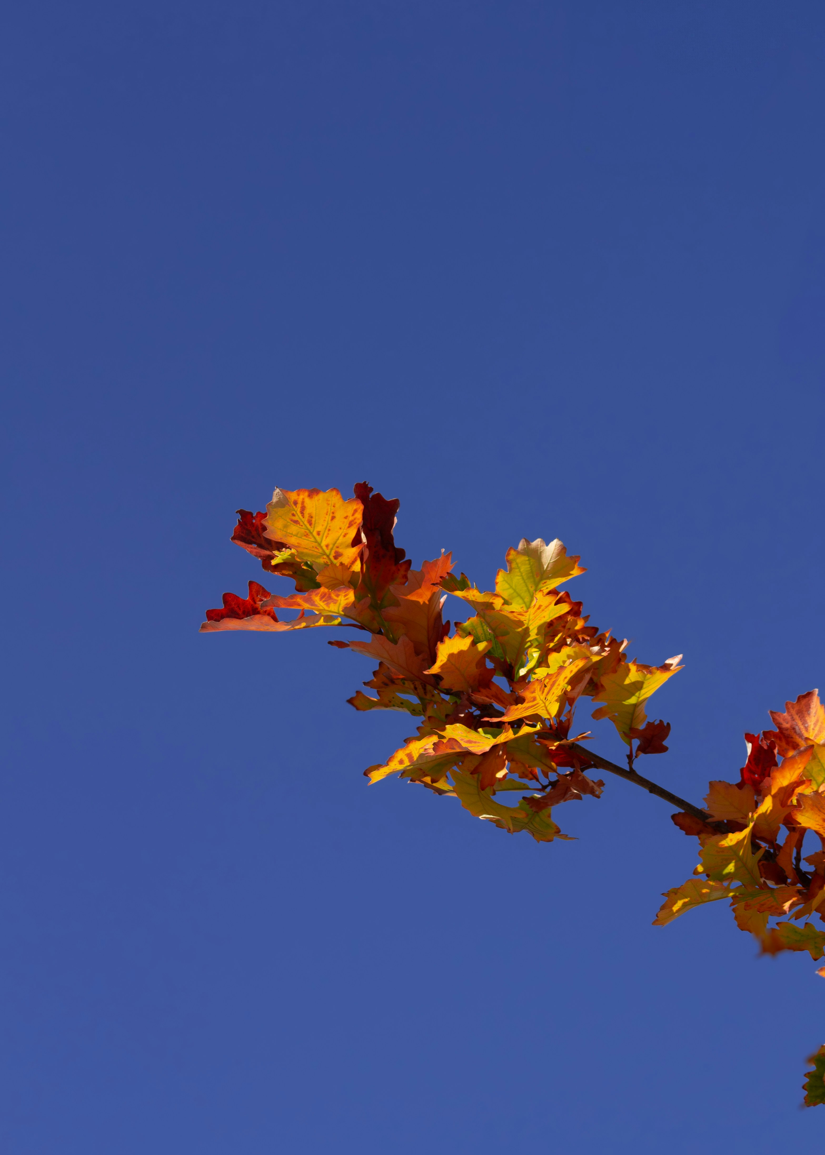 Photo by charlysey278