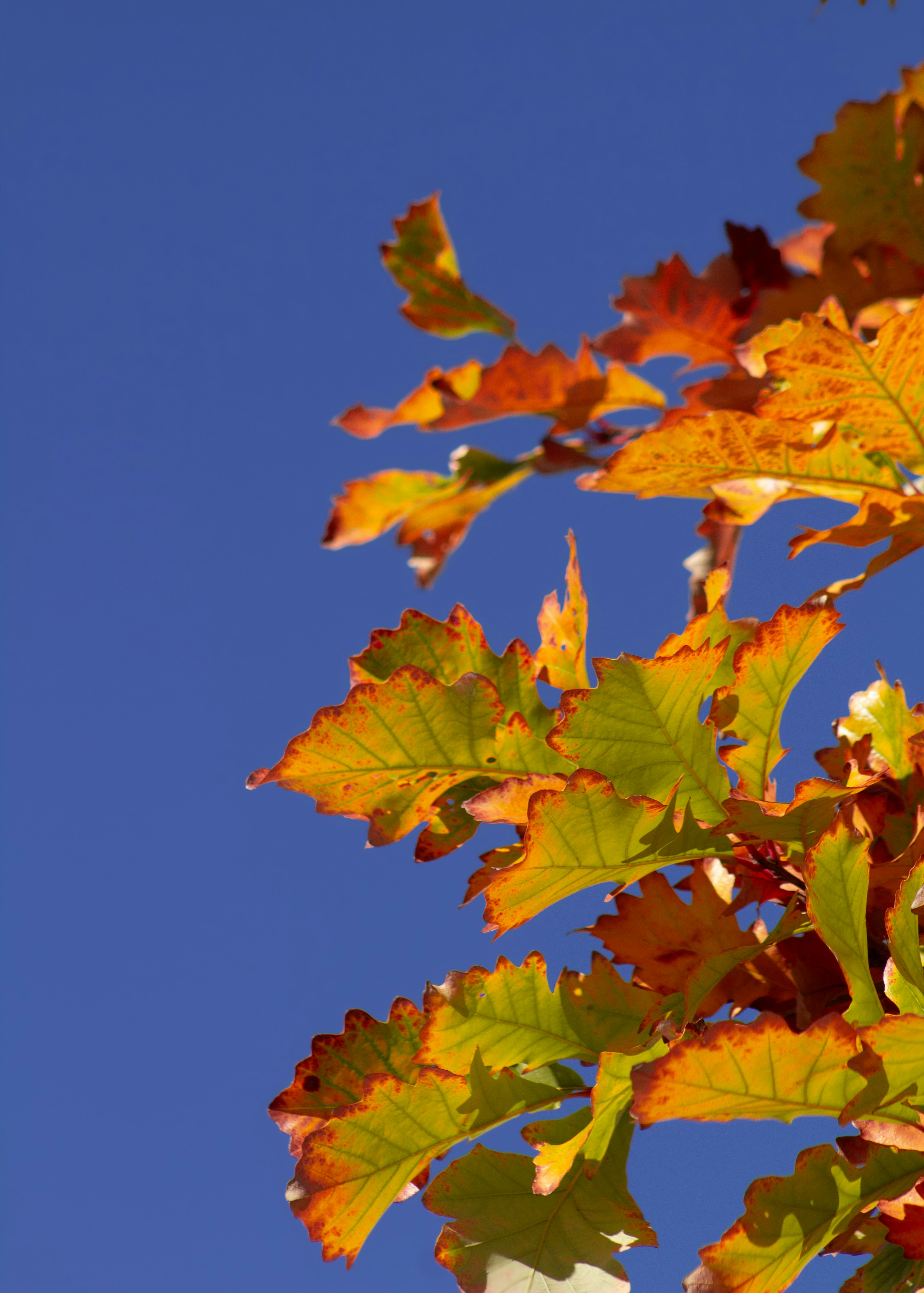 Photo by charlysey278