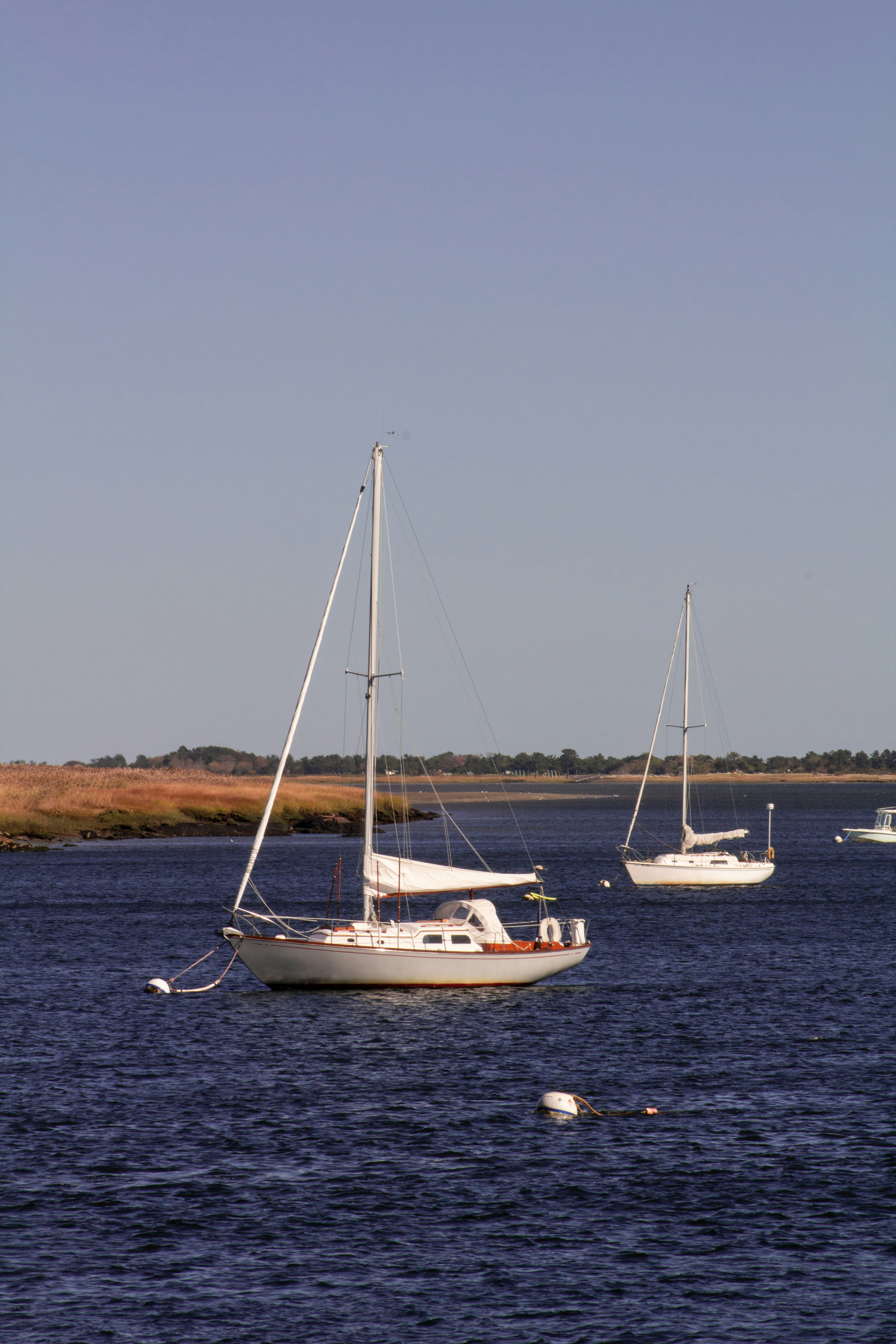 Photo by charlysey278