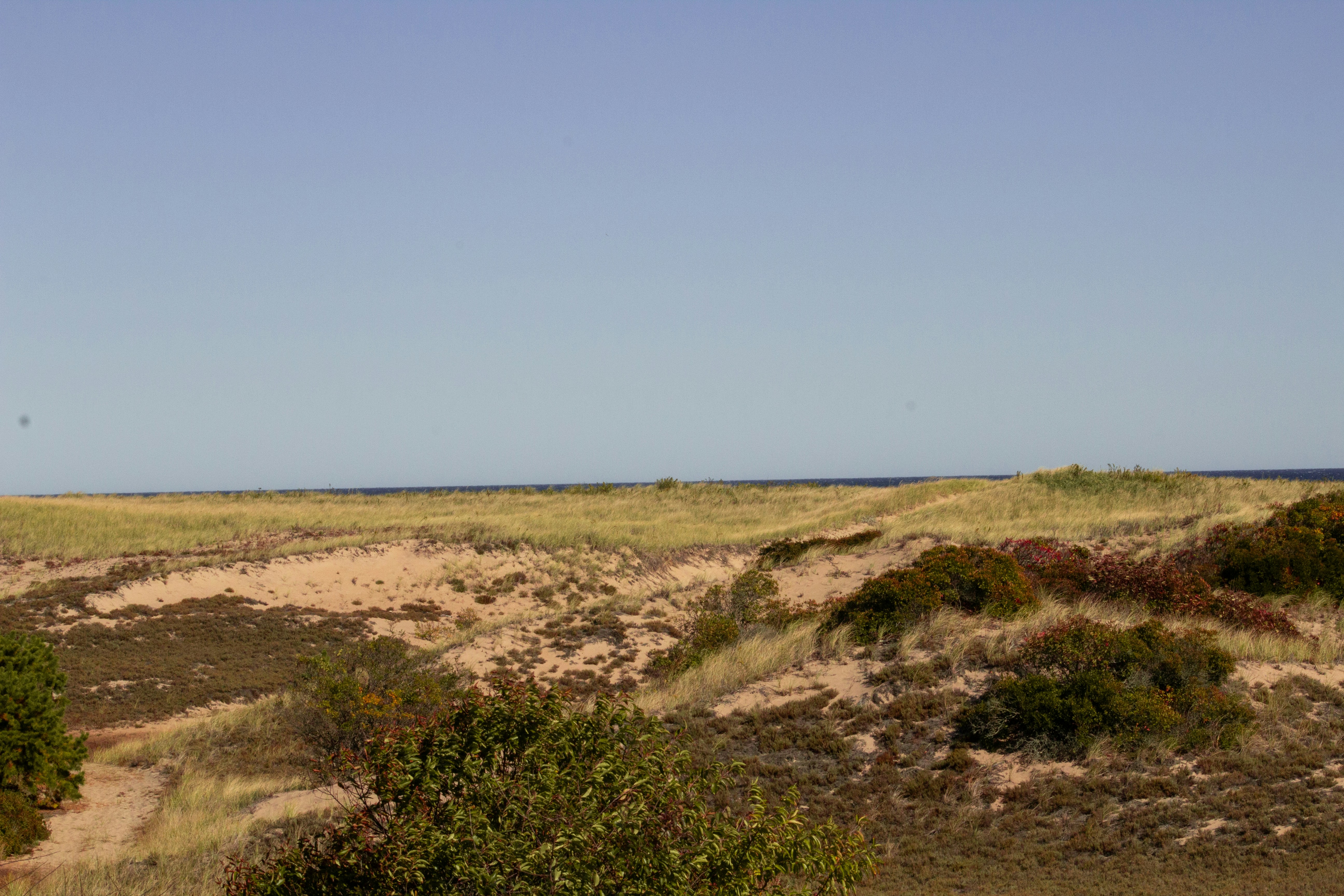 Photo by charlysey278