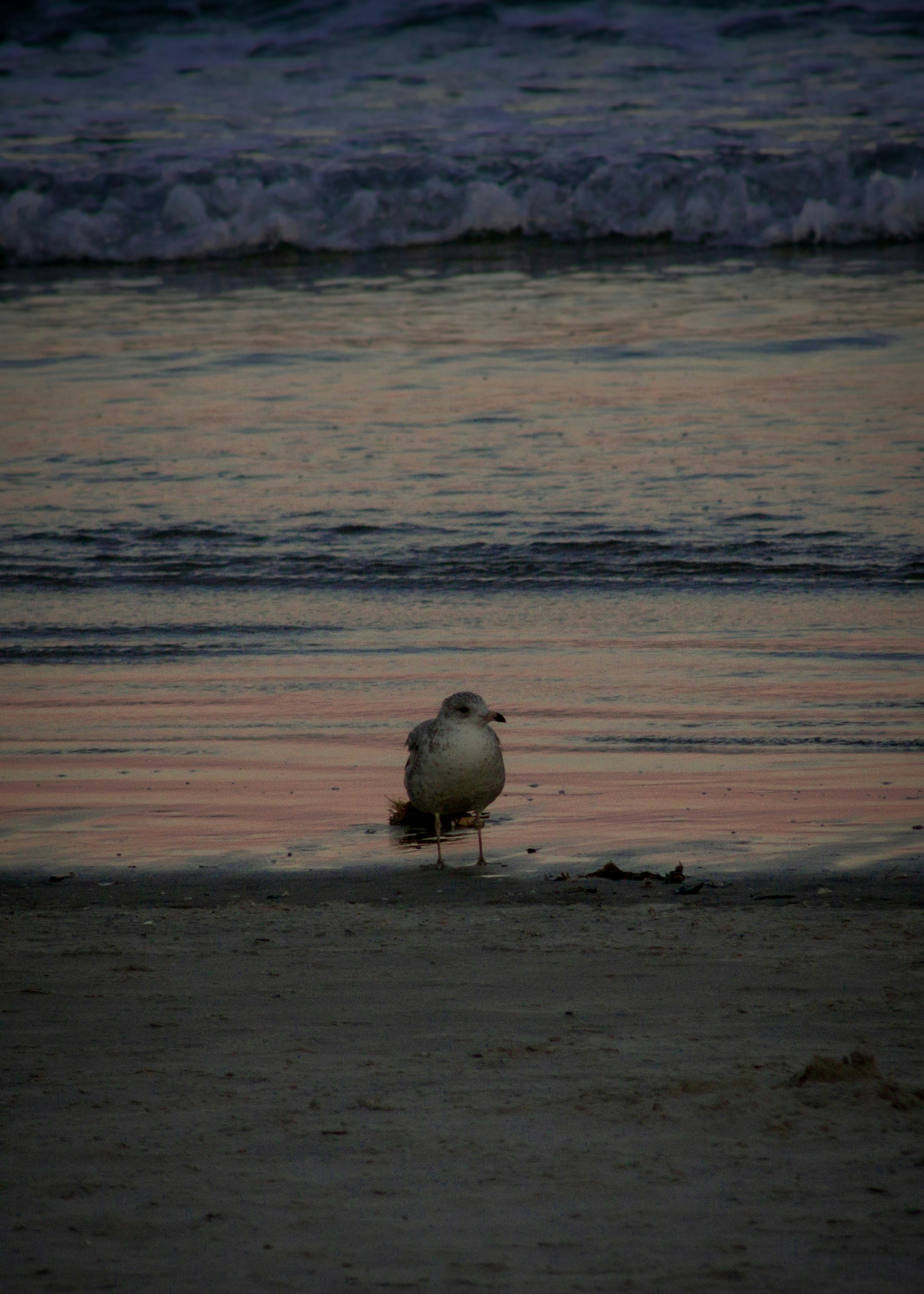 Photo by charlysey278