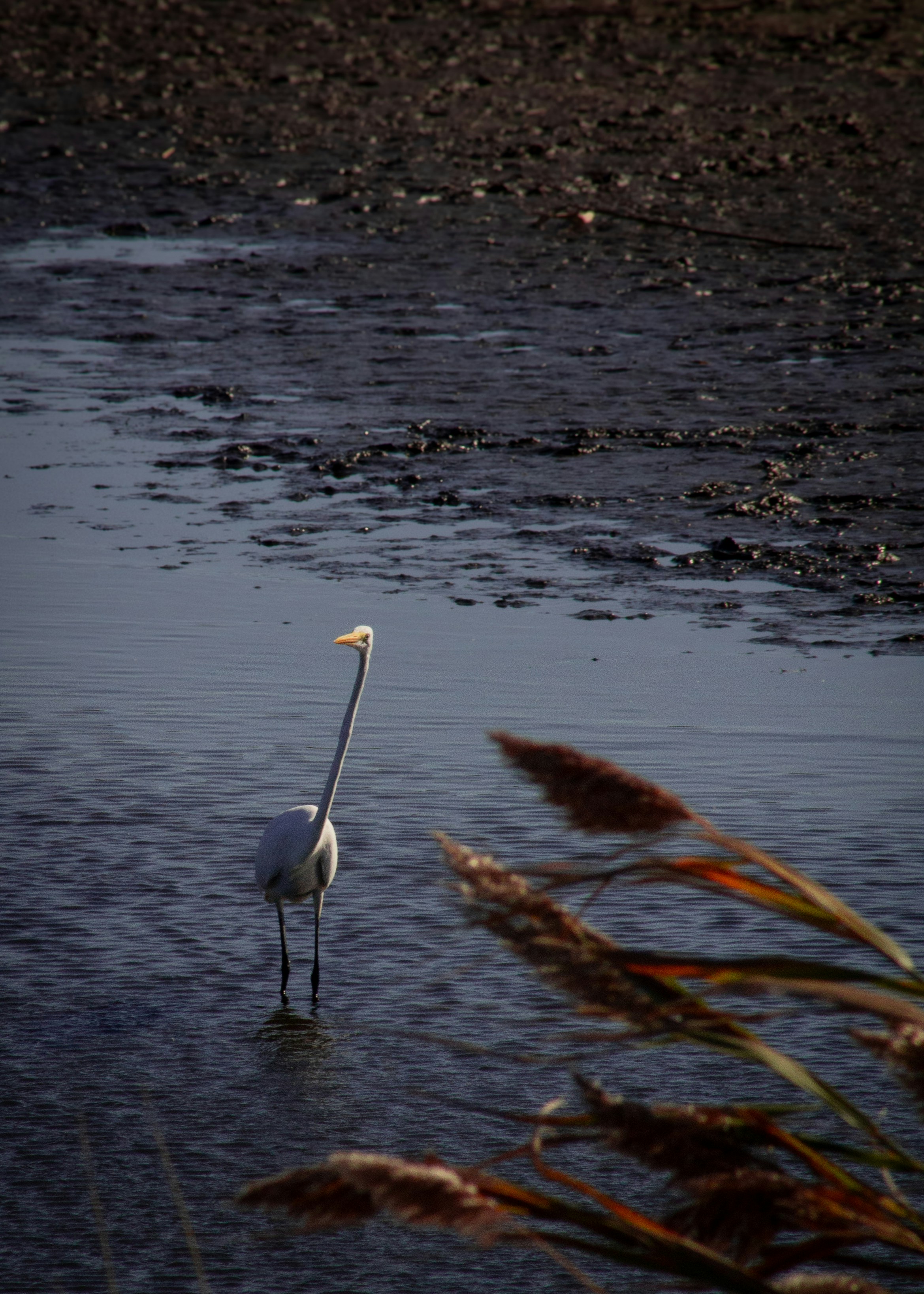 Photo by charlysey278