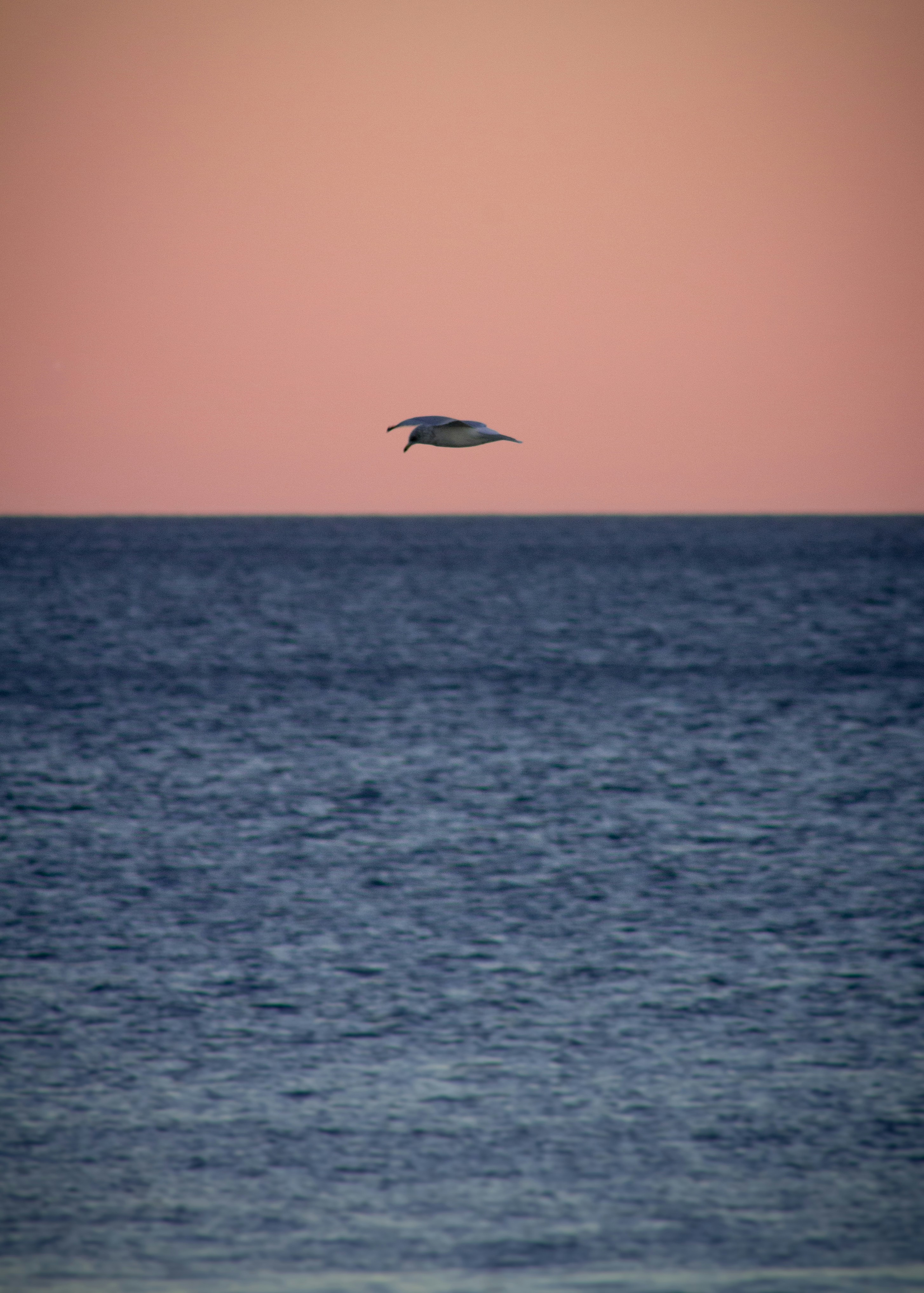 Photo by charlysey278