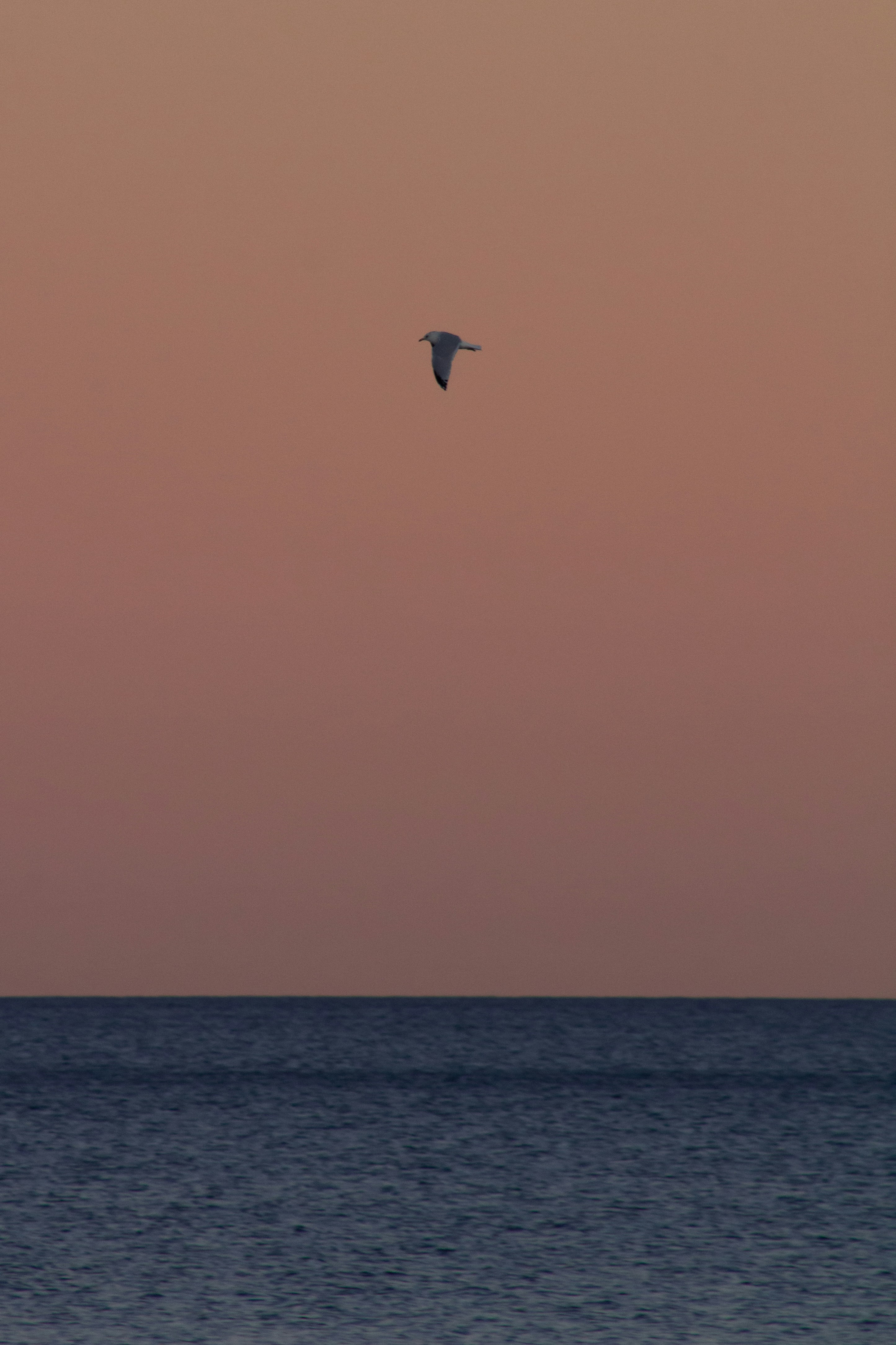 Photo by charlysey278