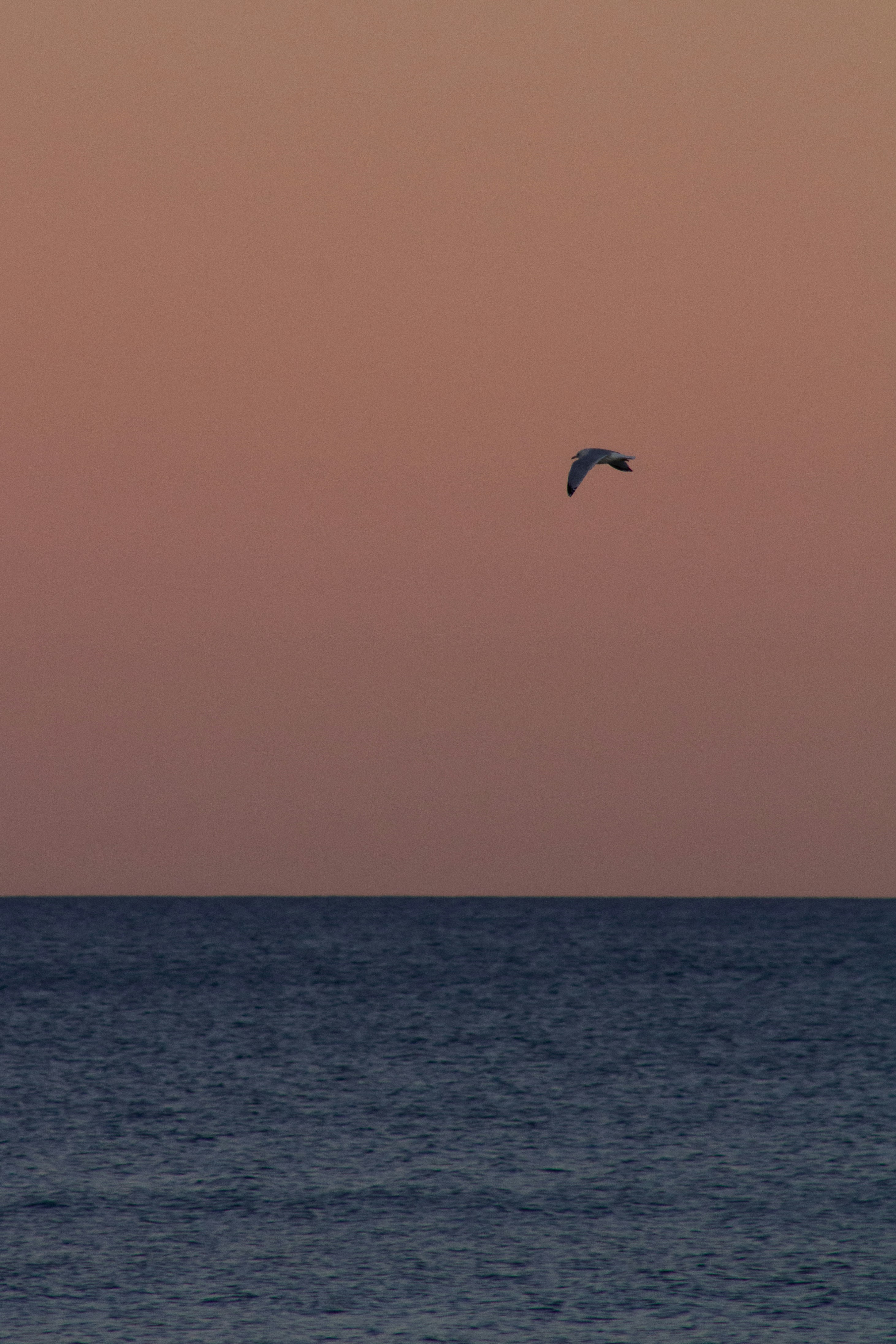 Photo by charlysey278