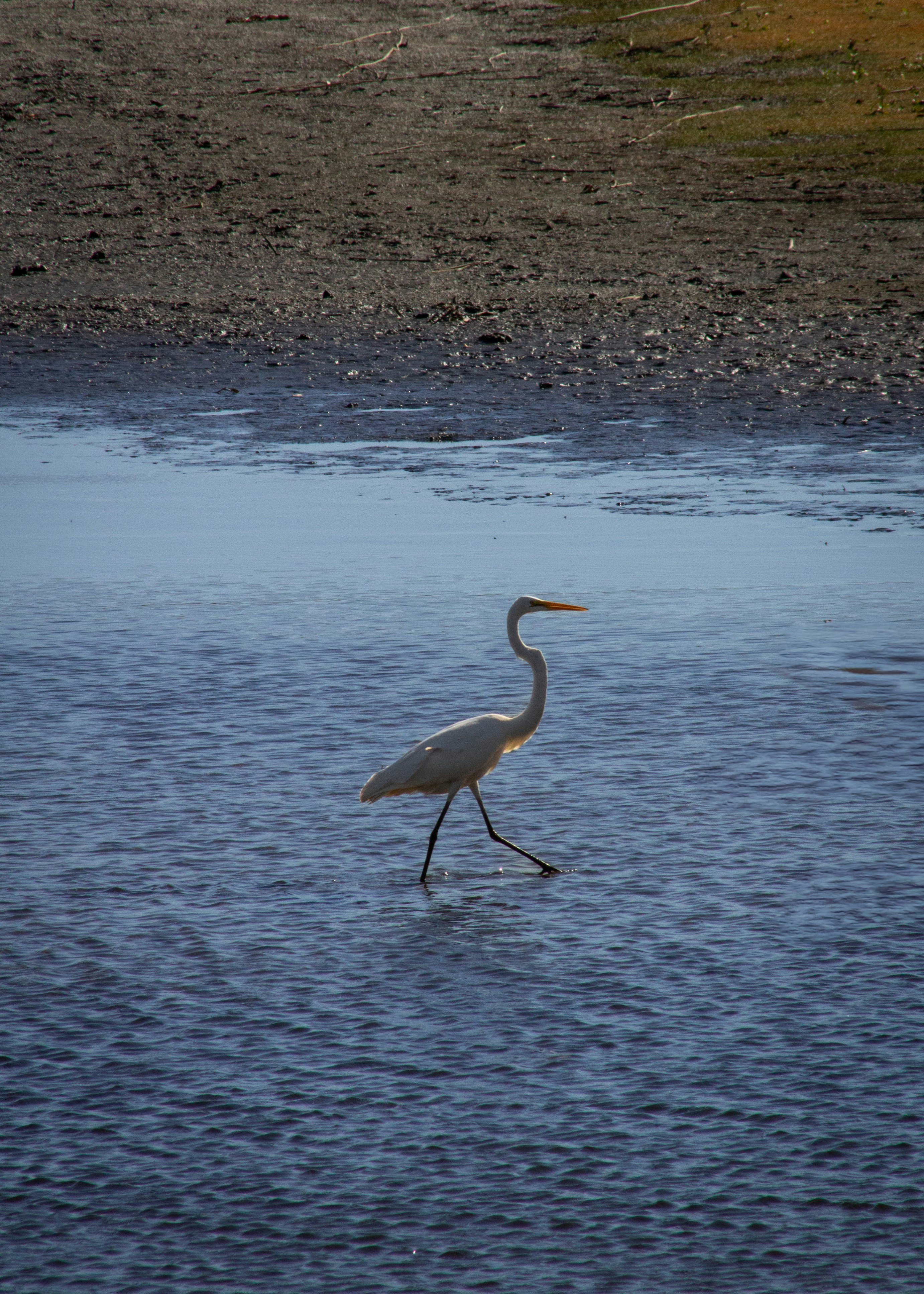 Photo by charlysey278