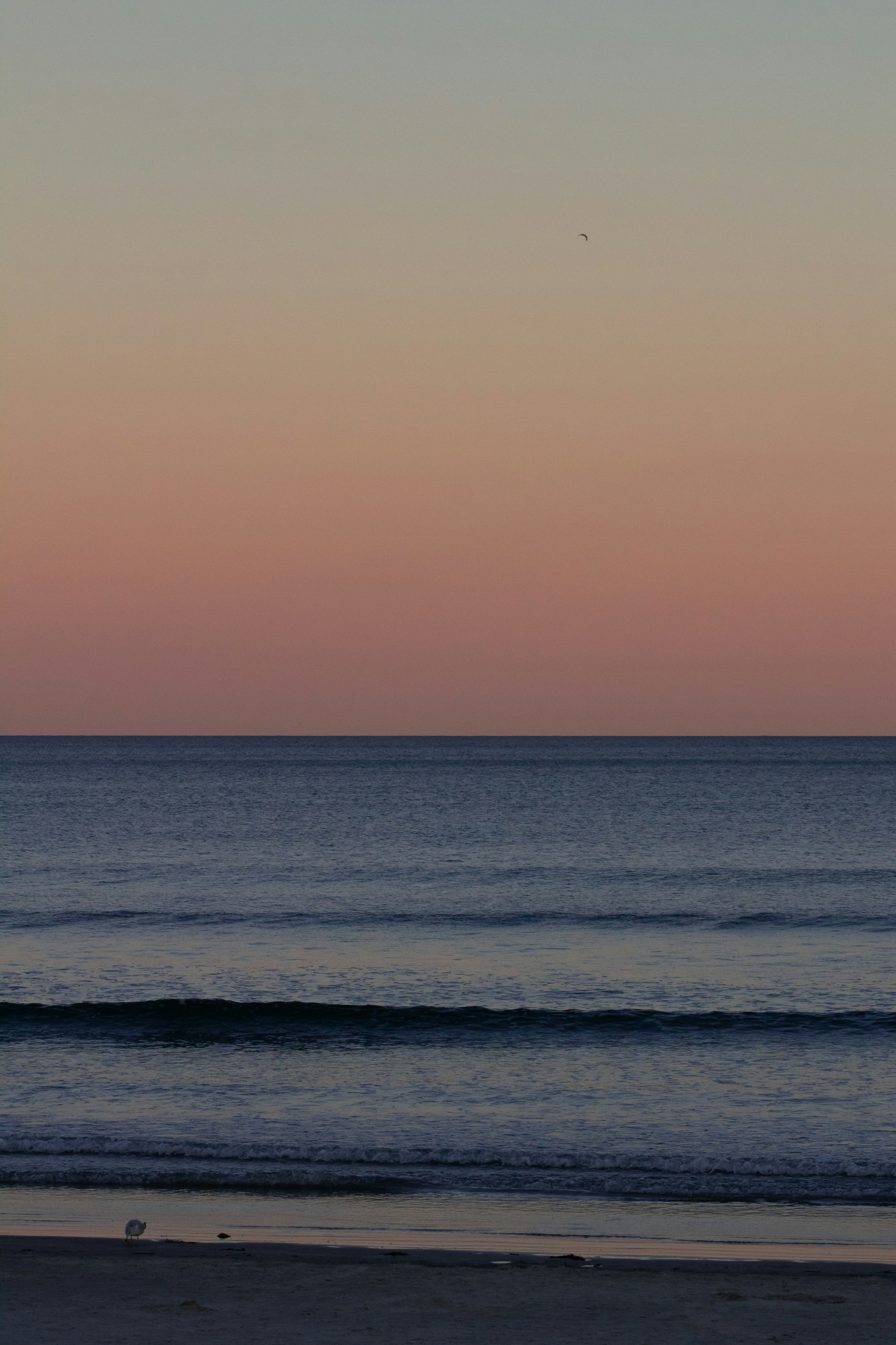 Photo by charlysey278