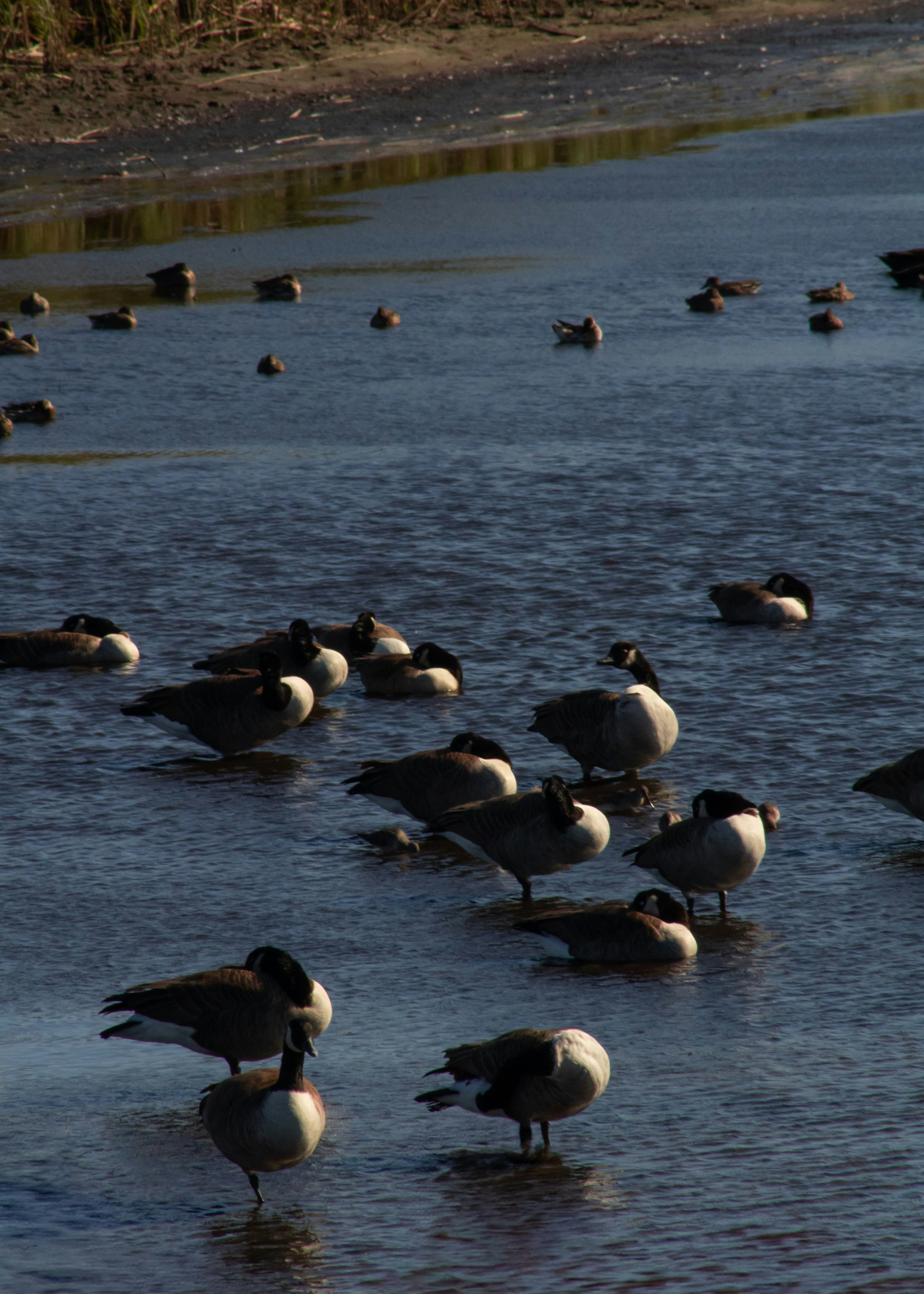 Photo by charlysey278