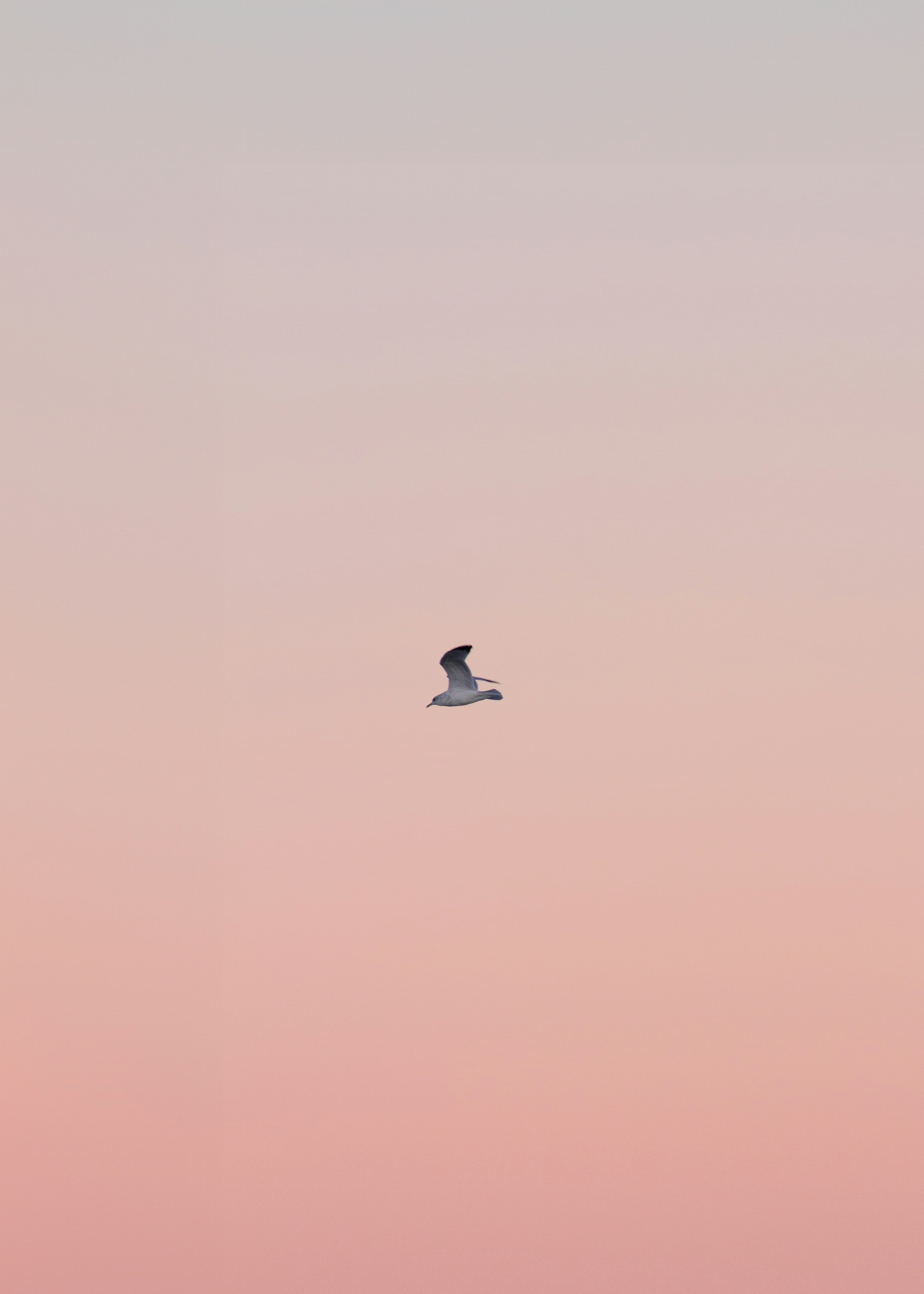 Photo by charlysey278