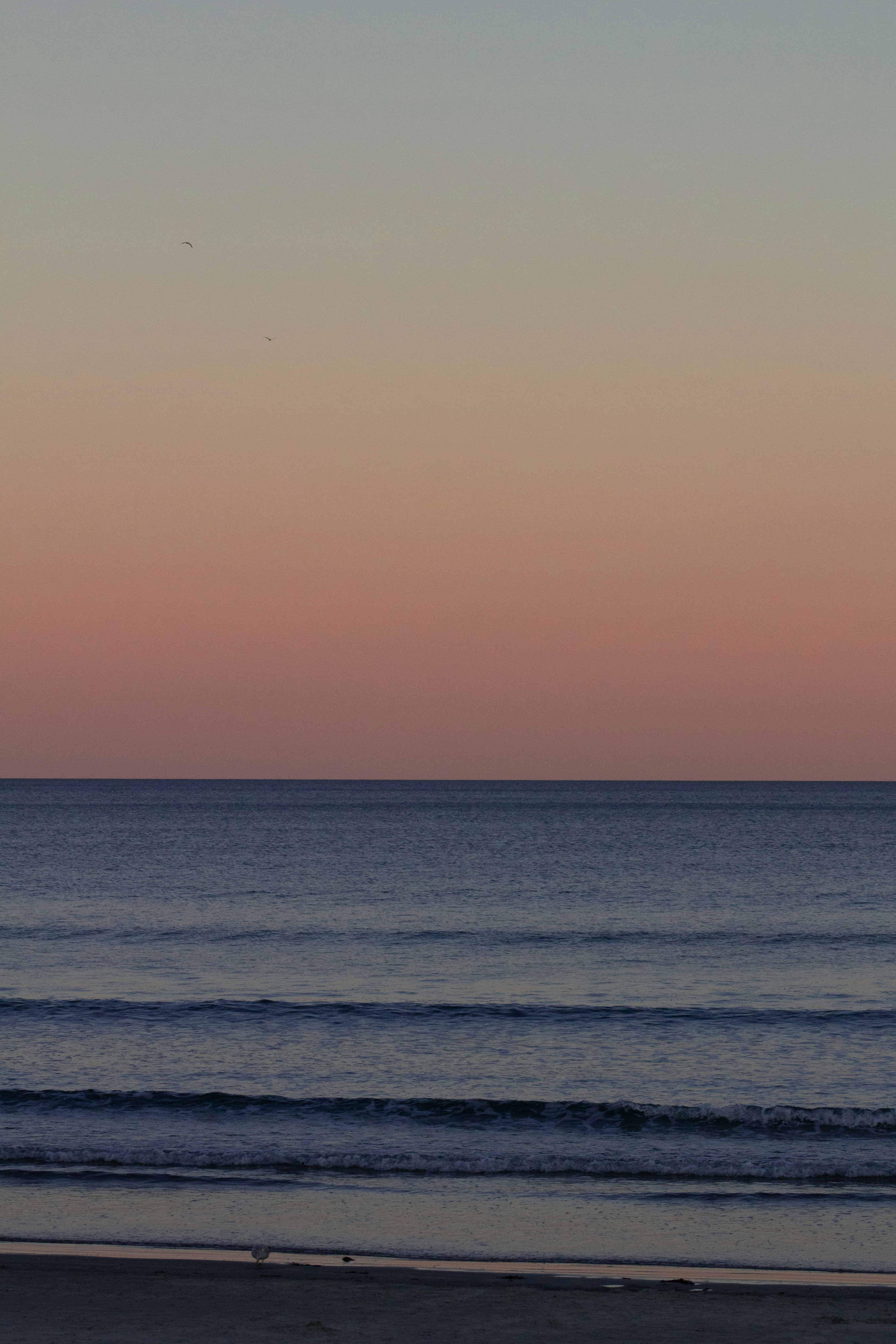 Photo by charlysey278