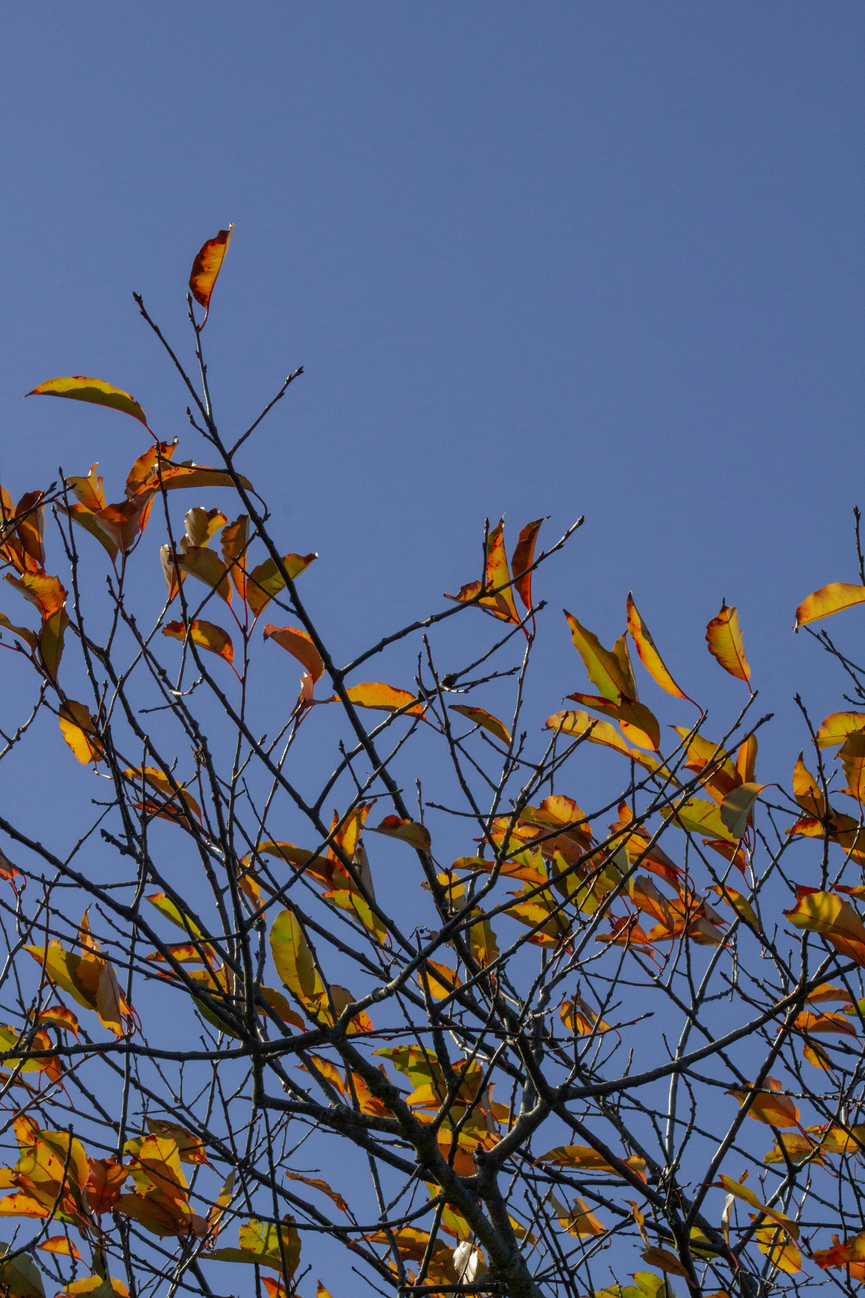 Photo by charlysey278