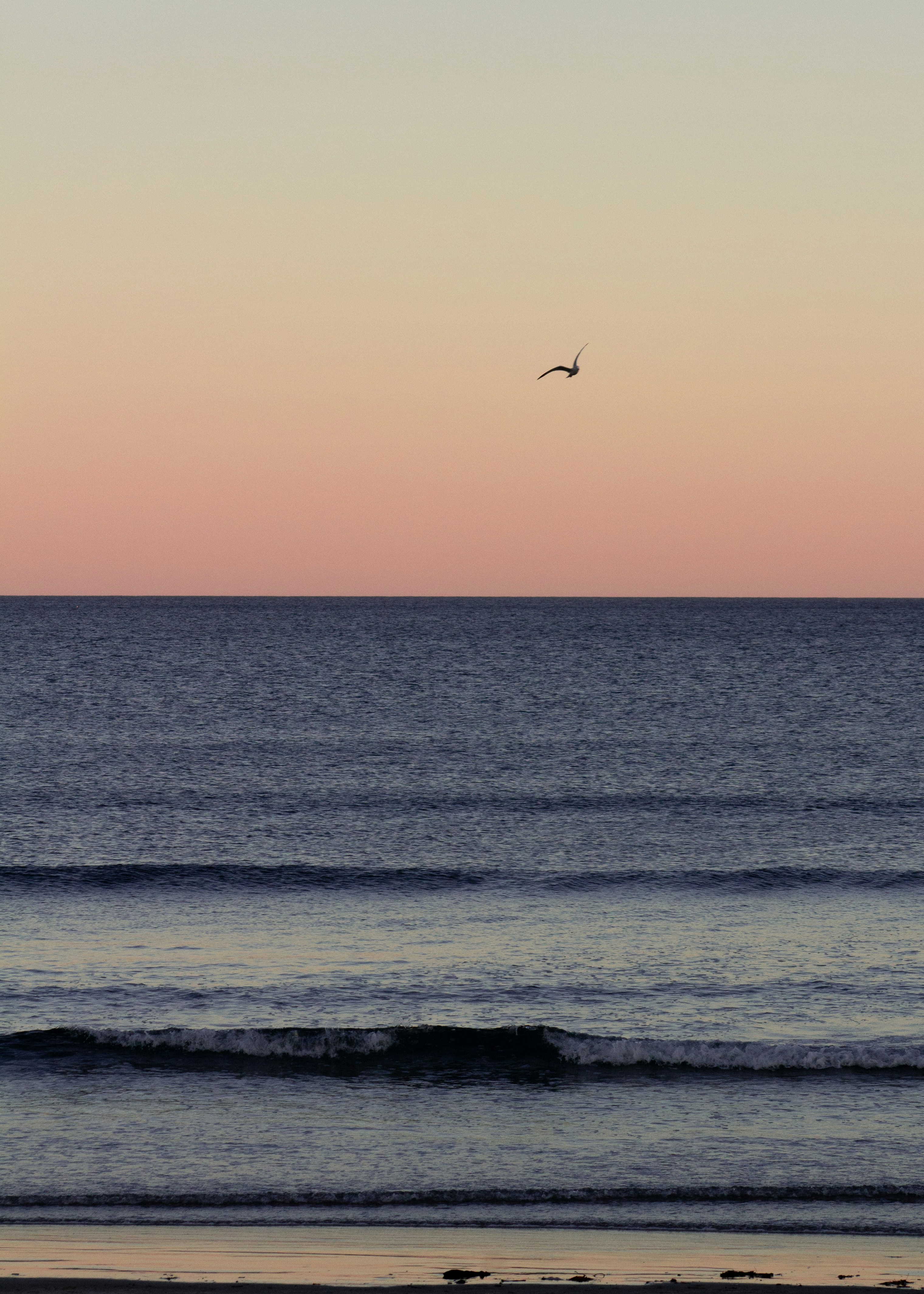 Photo by charlysey278