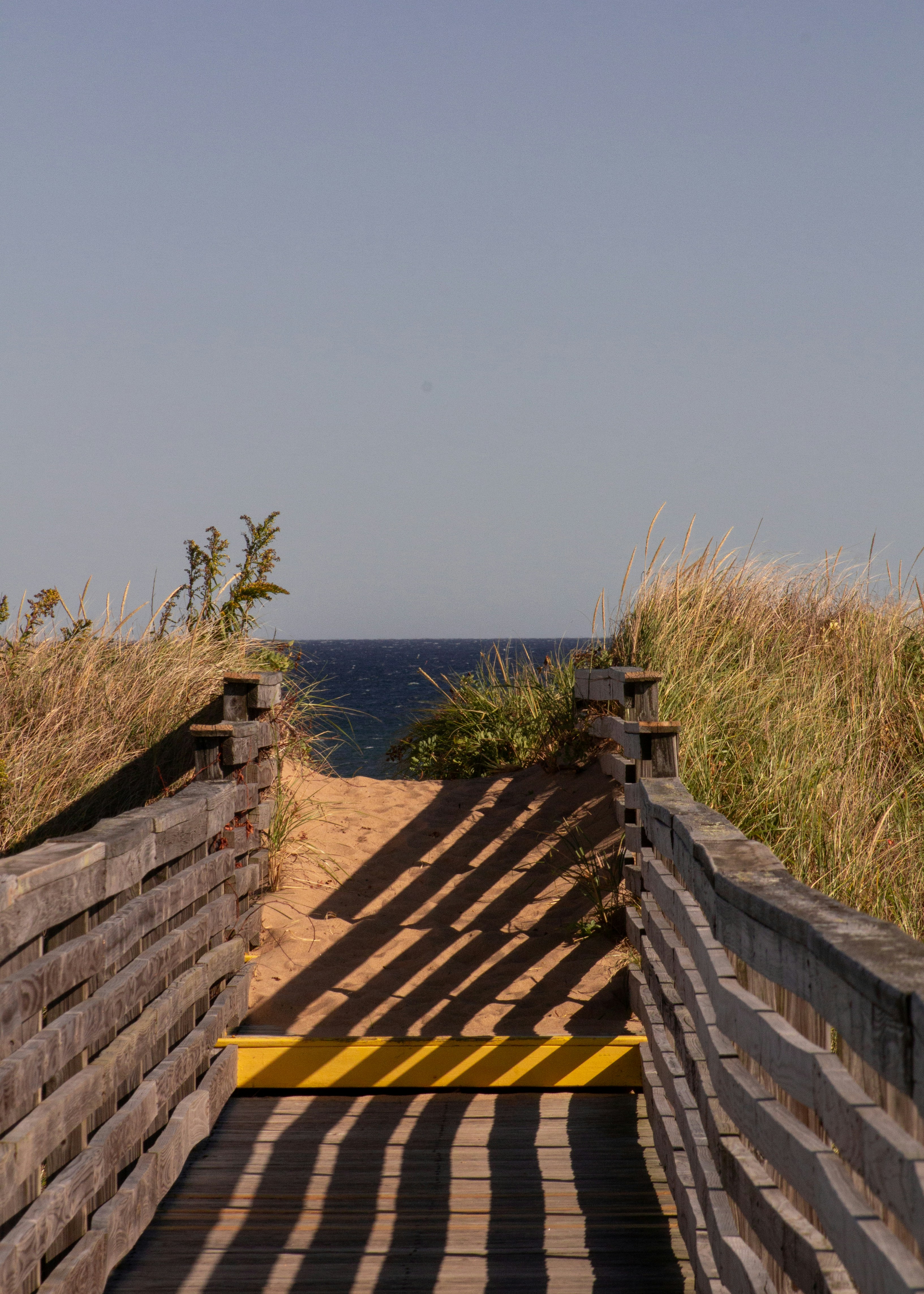 Photo by charlysey278