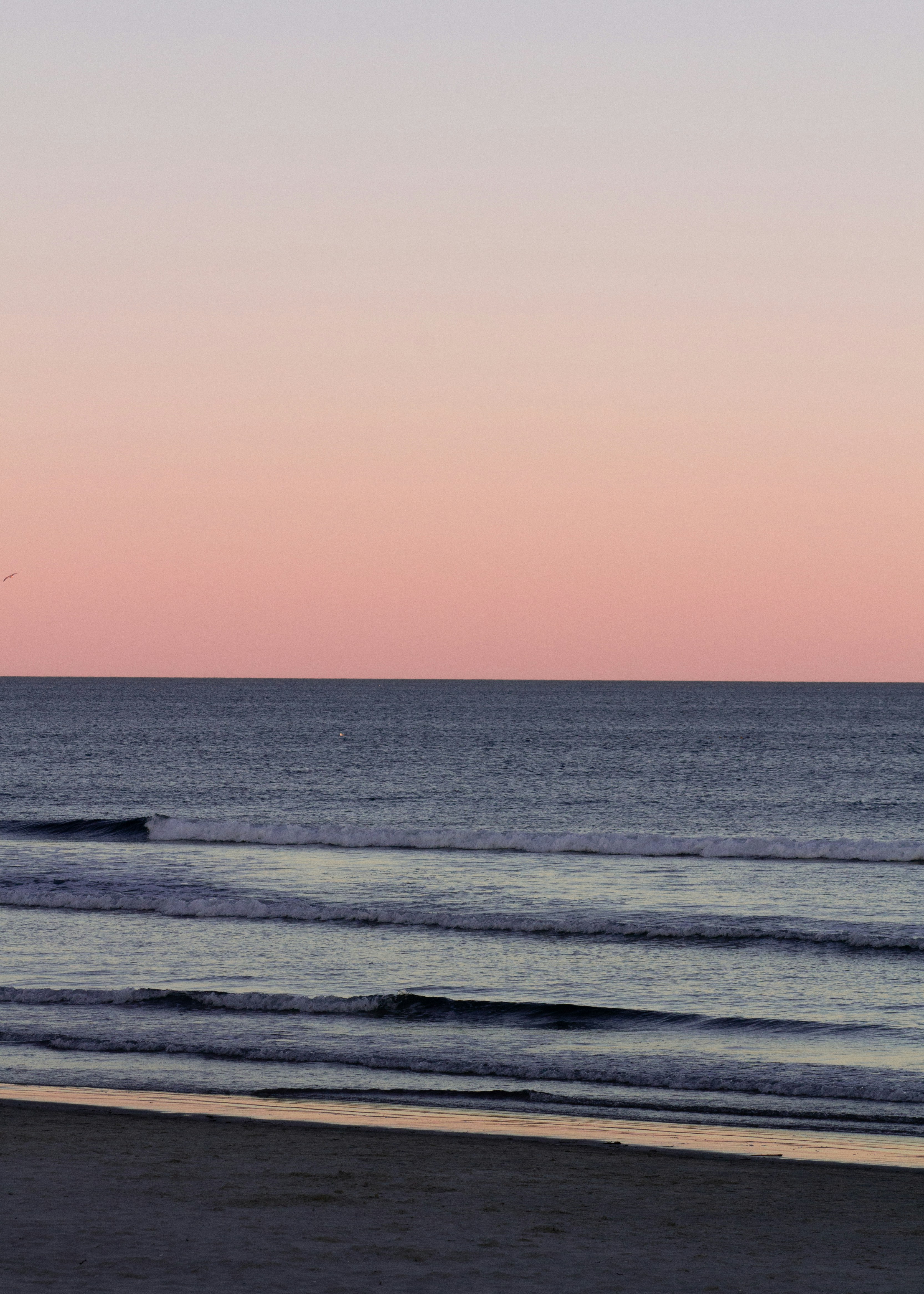 photo-1731177000920-a79512c8c59e?ixlib=rb-4.0.3