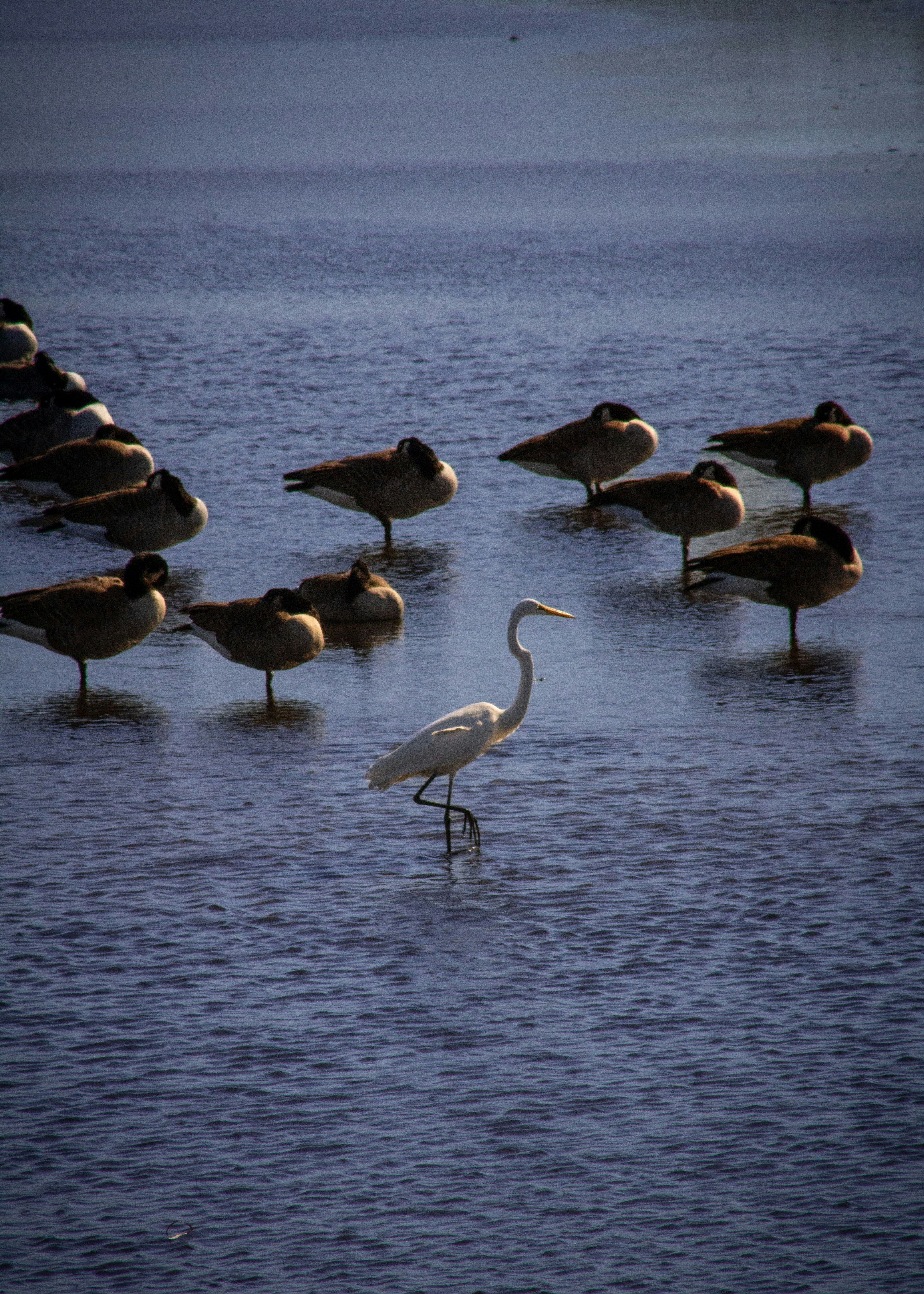 Photo by charlysey278