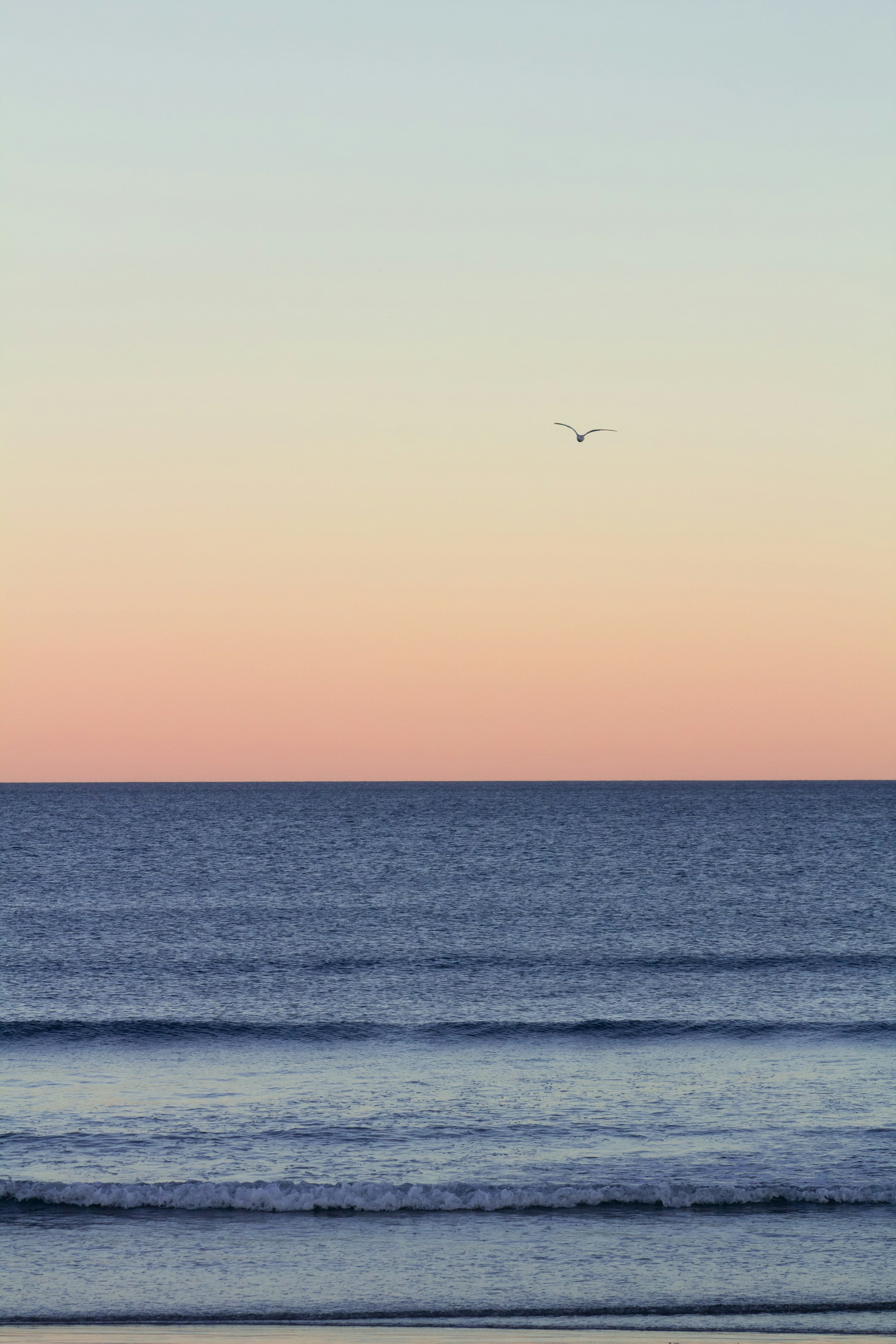 Photo by charlysey278