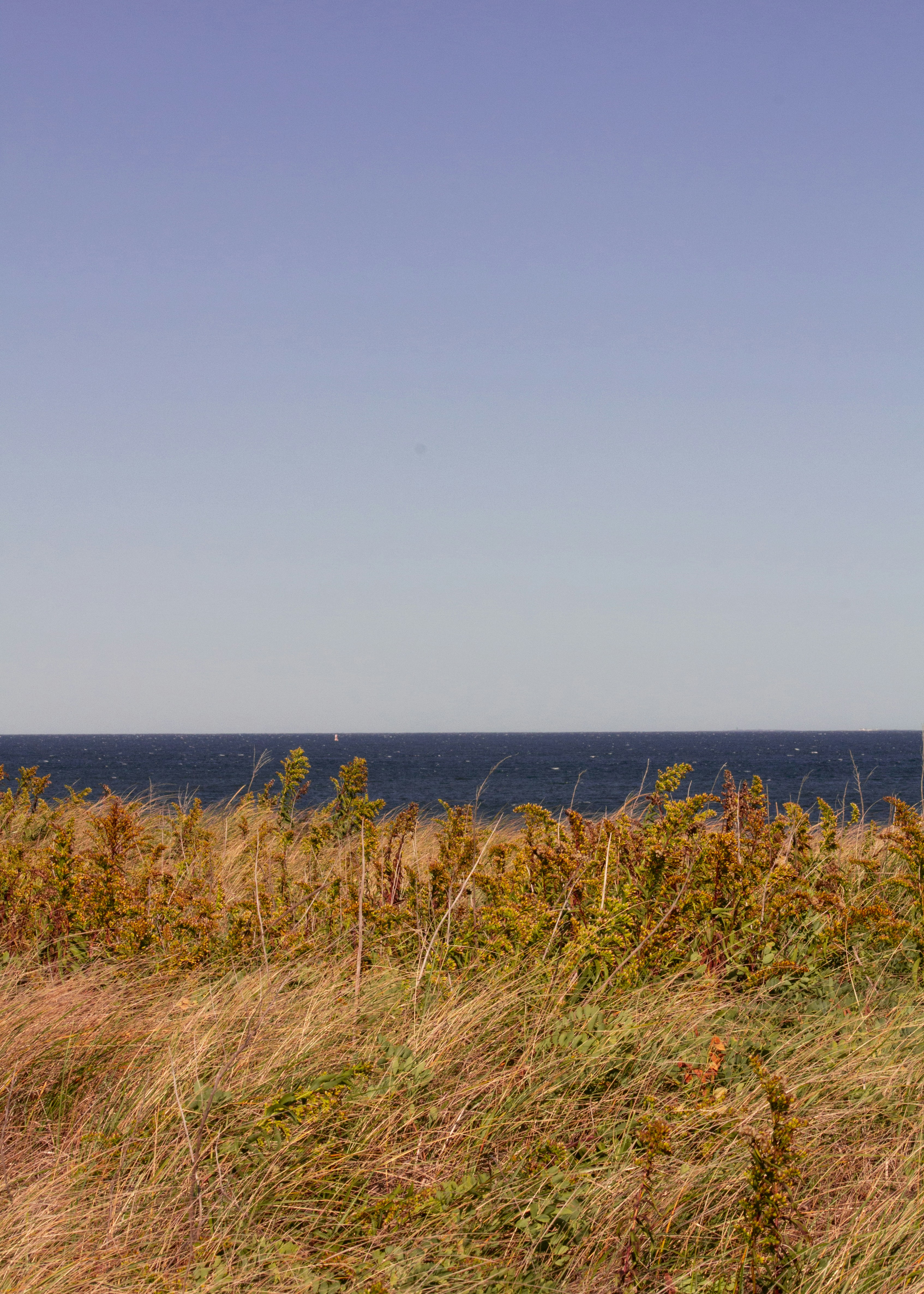 Photo by charlysey278