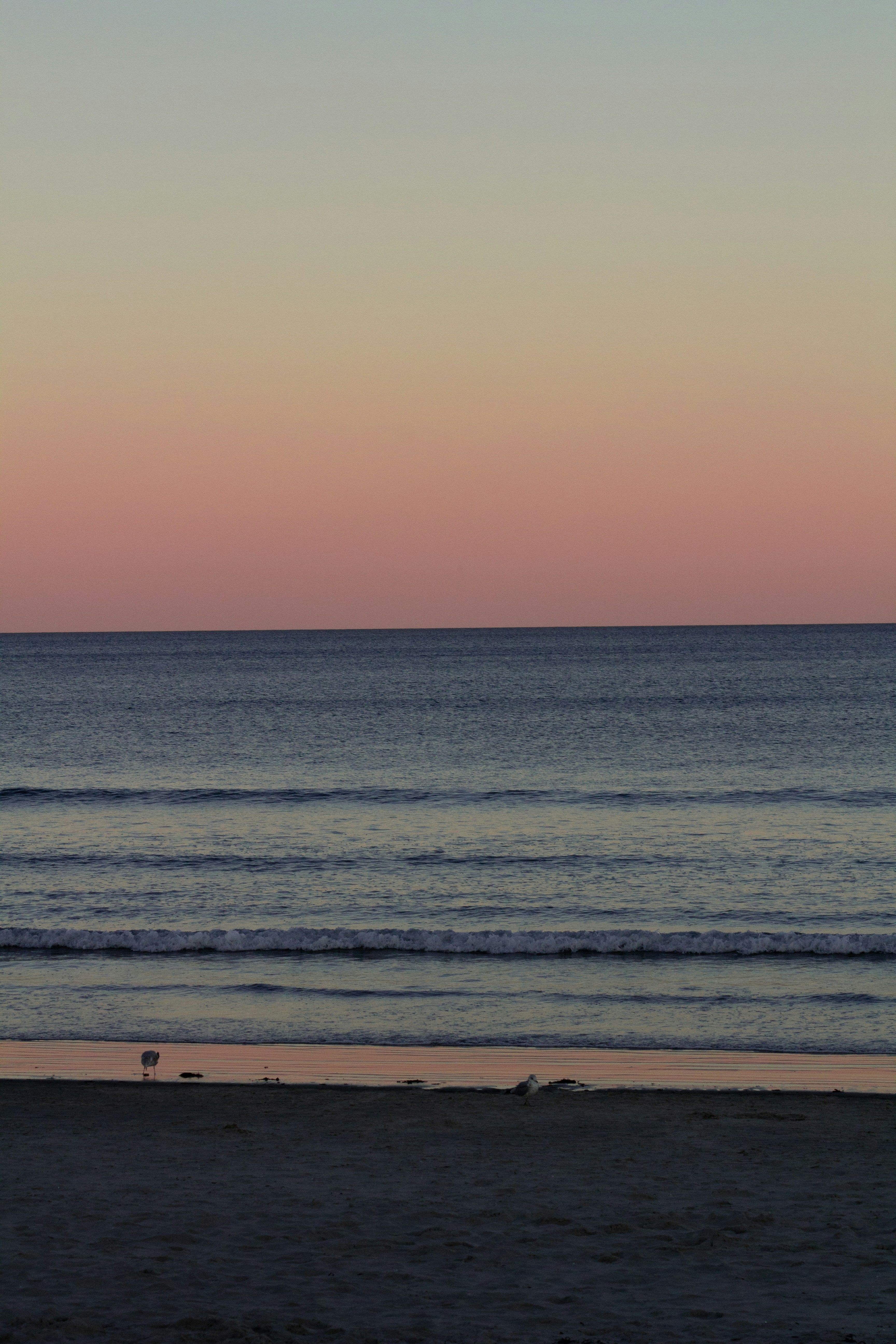 Photo by charlysey278