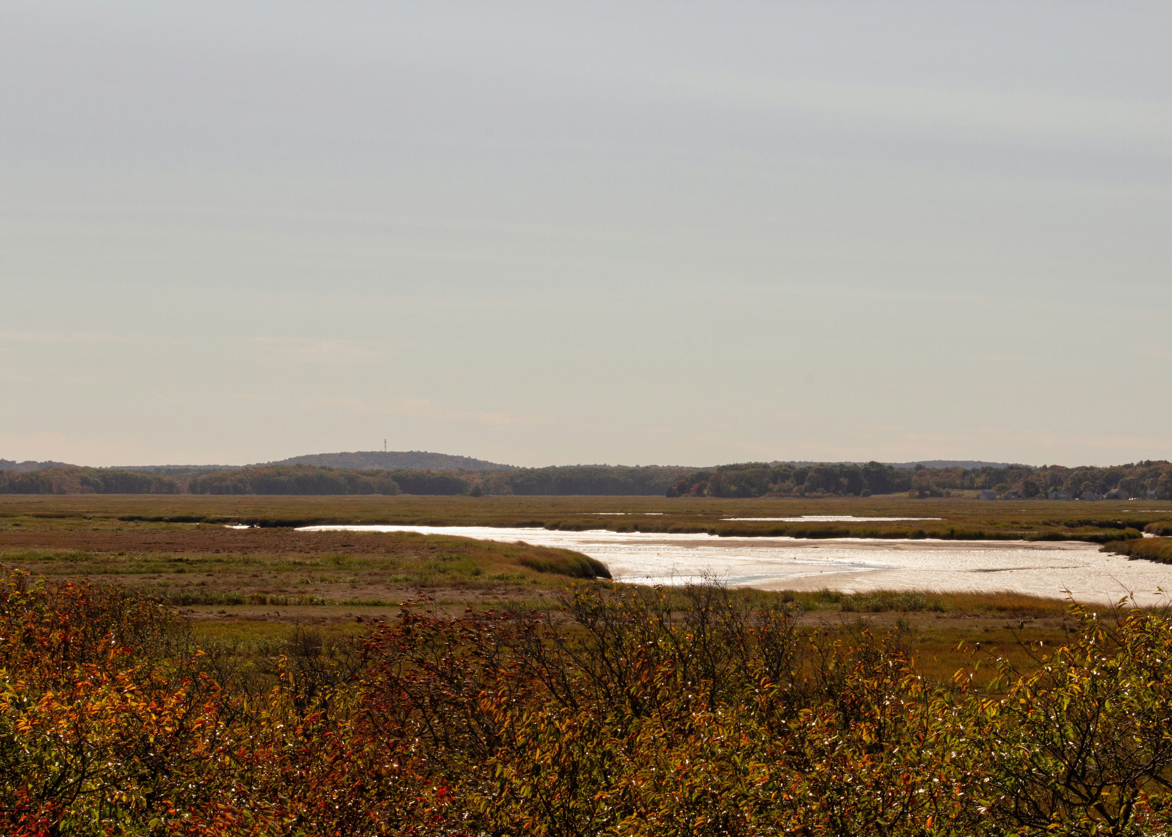 Photo by charlysey278