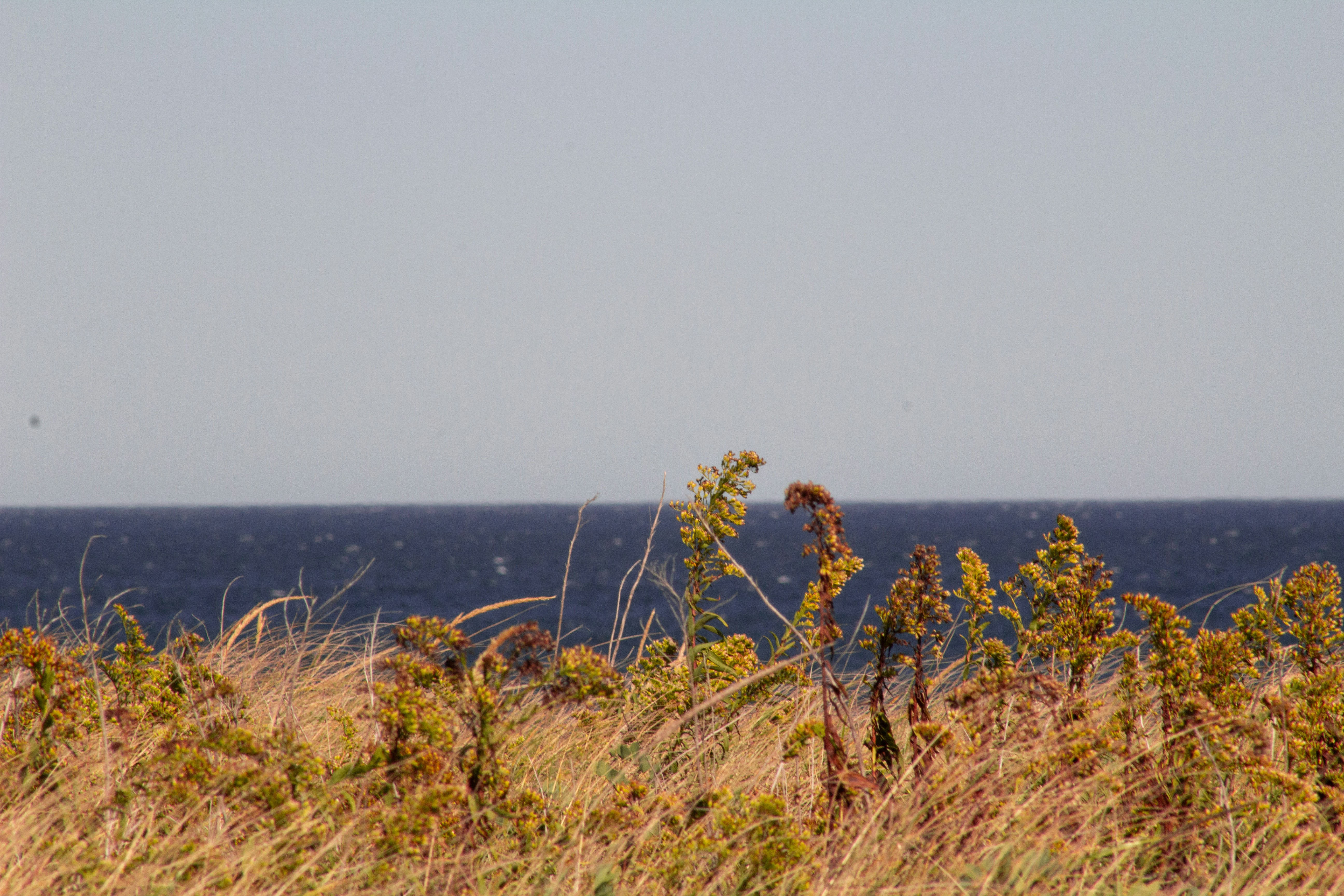 Photo by charlysey278