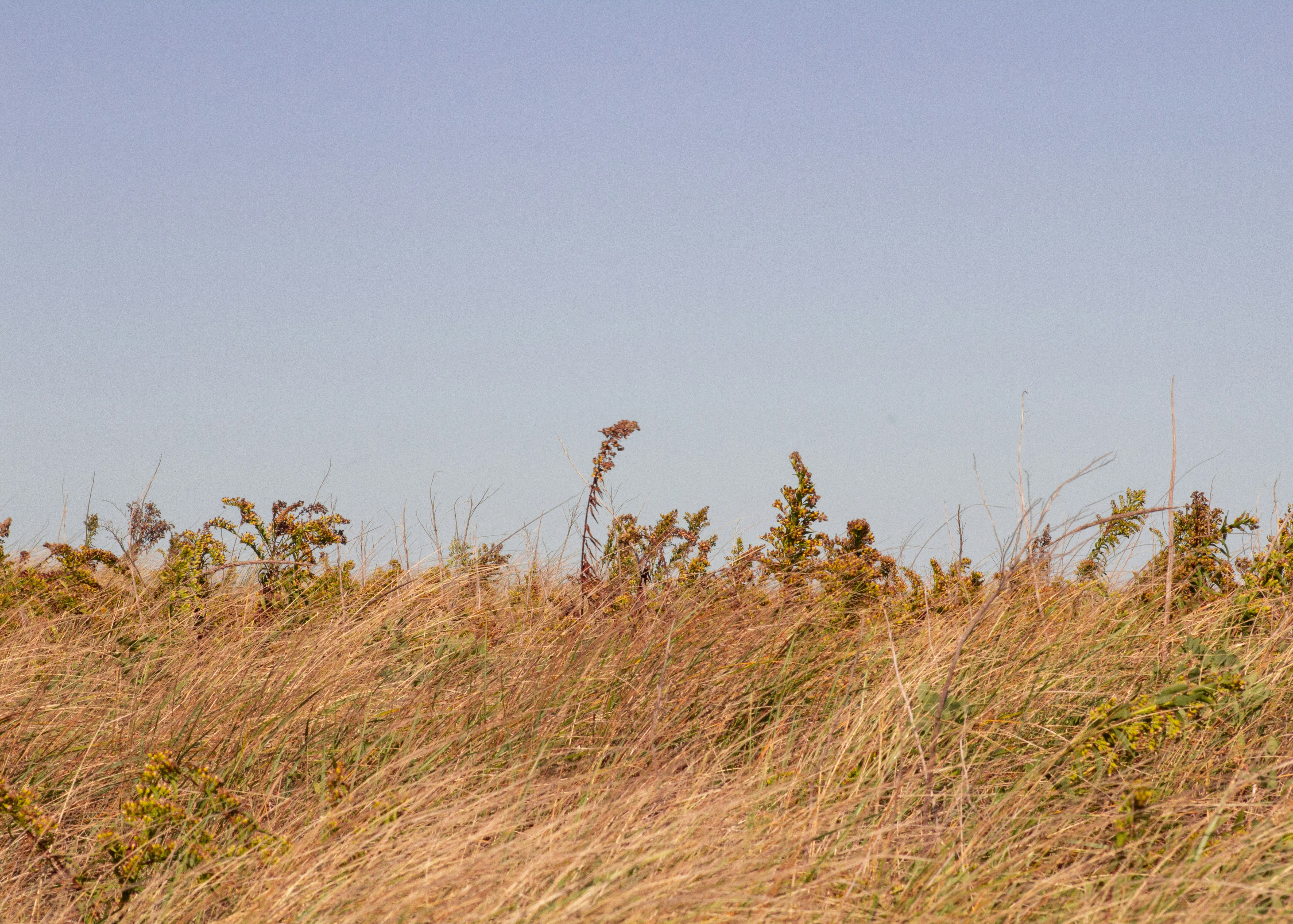 Photo by charlysey278