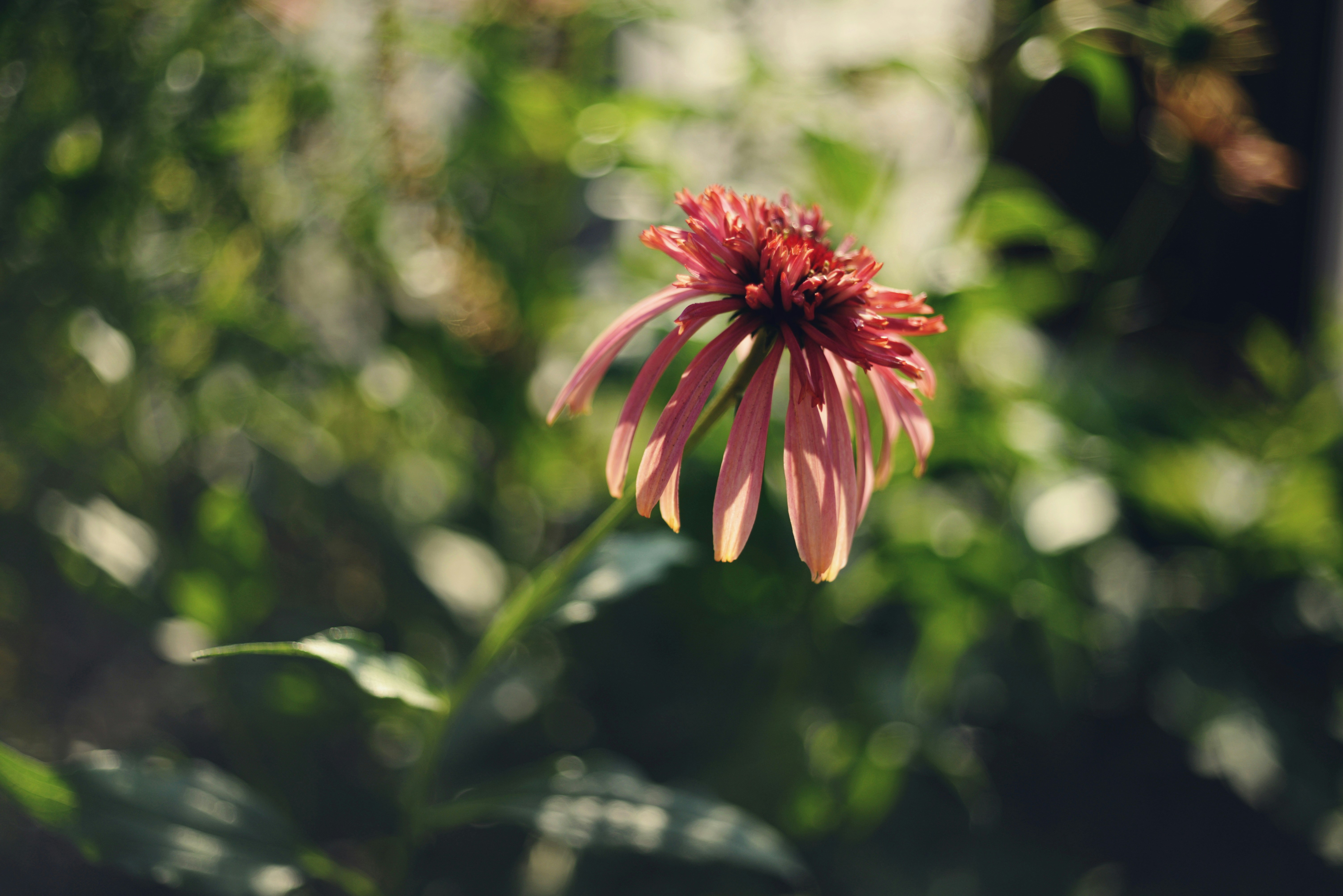 Photo by cherstve_pechivo