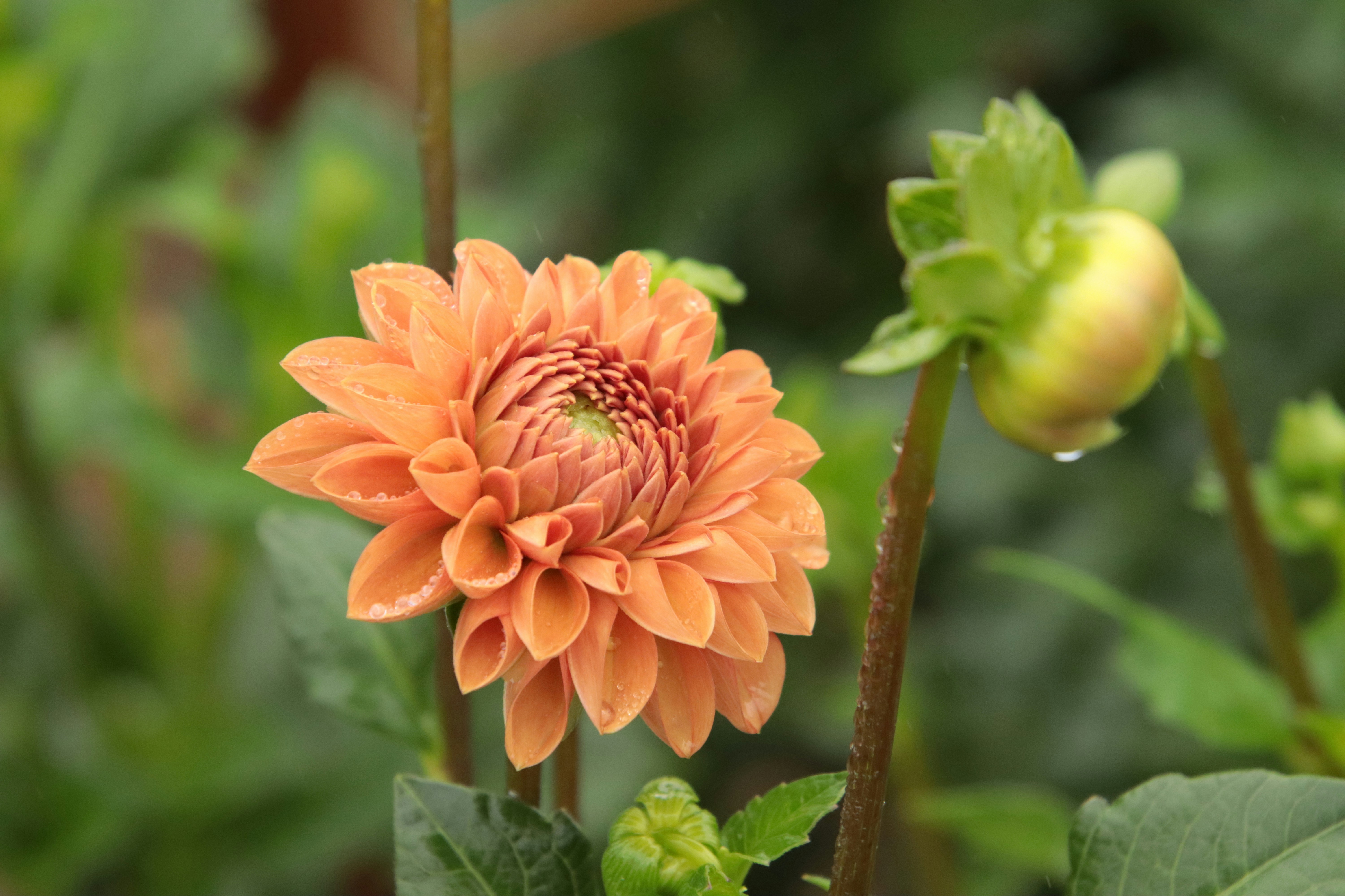 Photo by shaniquabauman