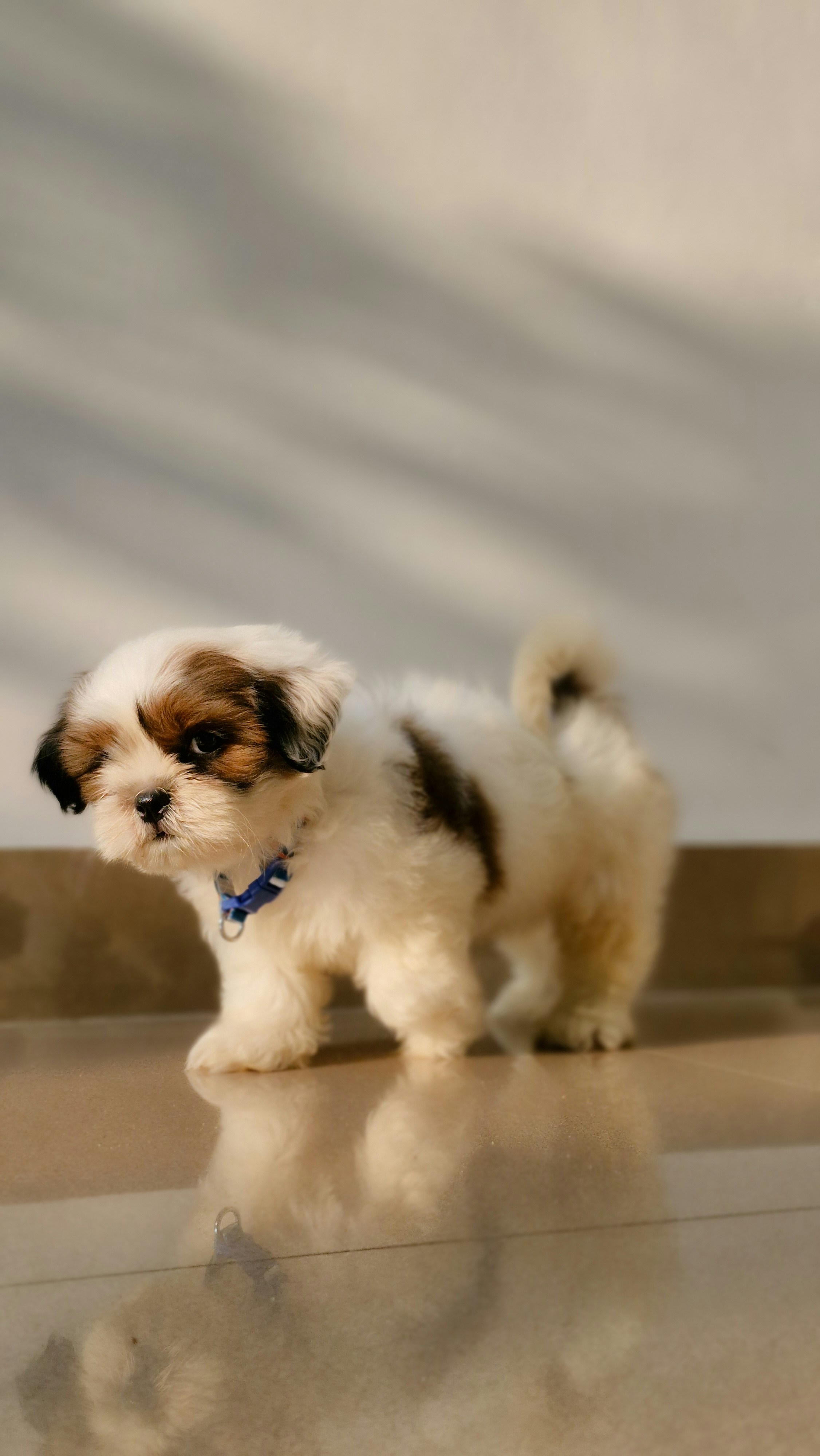 Photo by arununnikrishnan