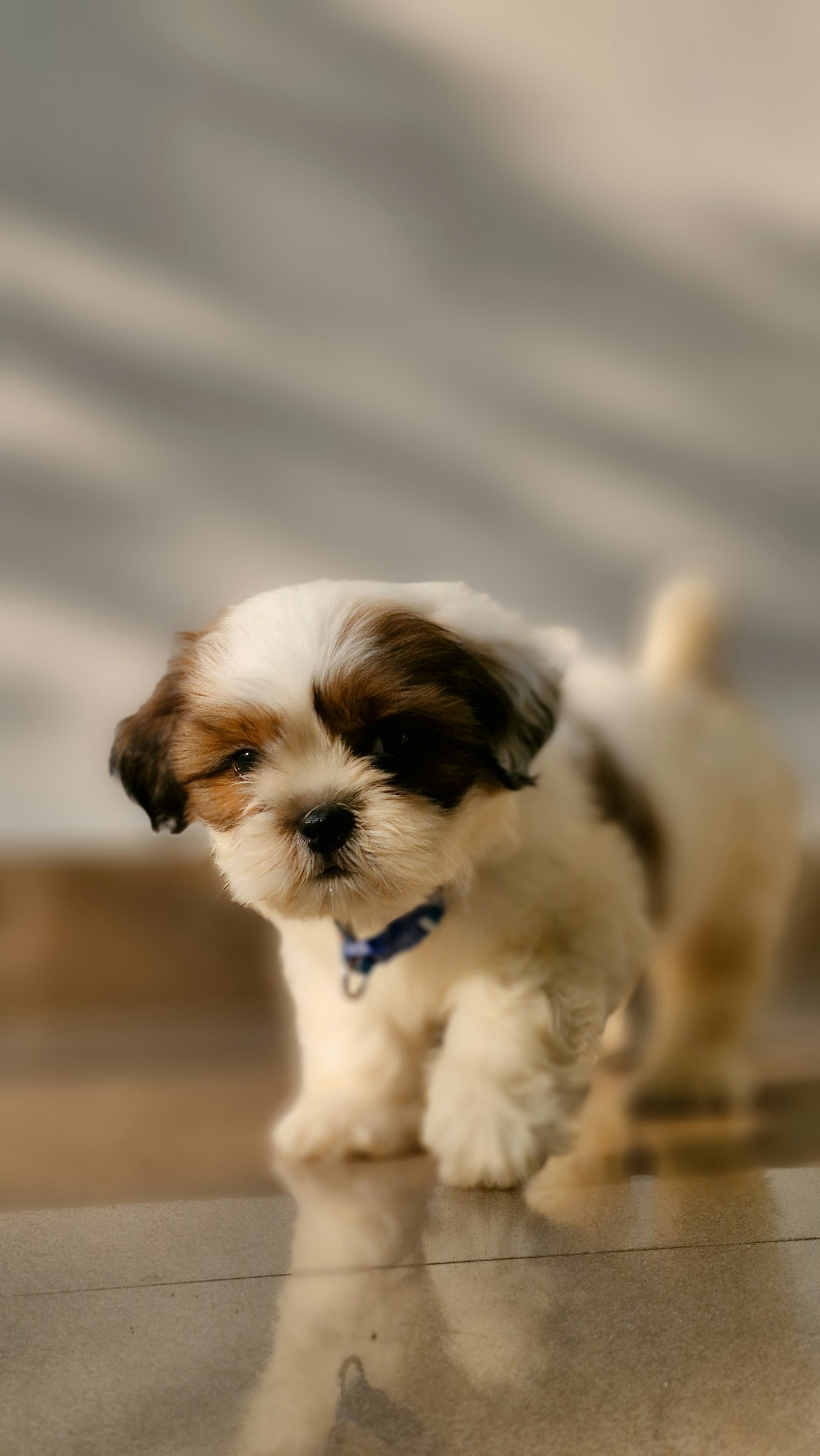 Photo by arununnikrishnan